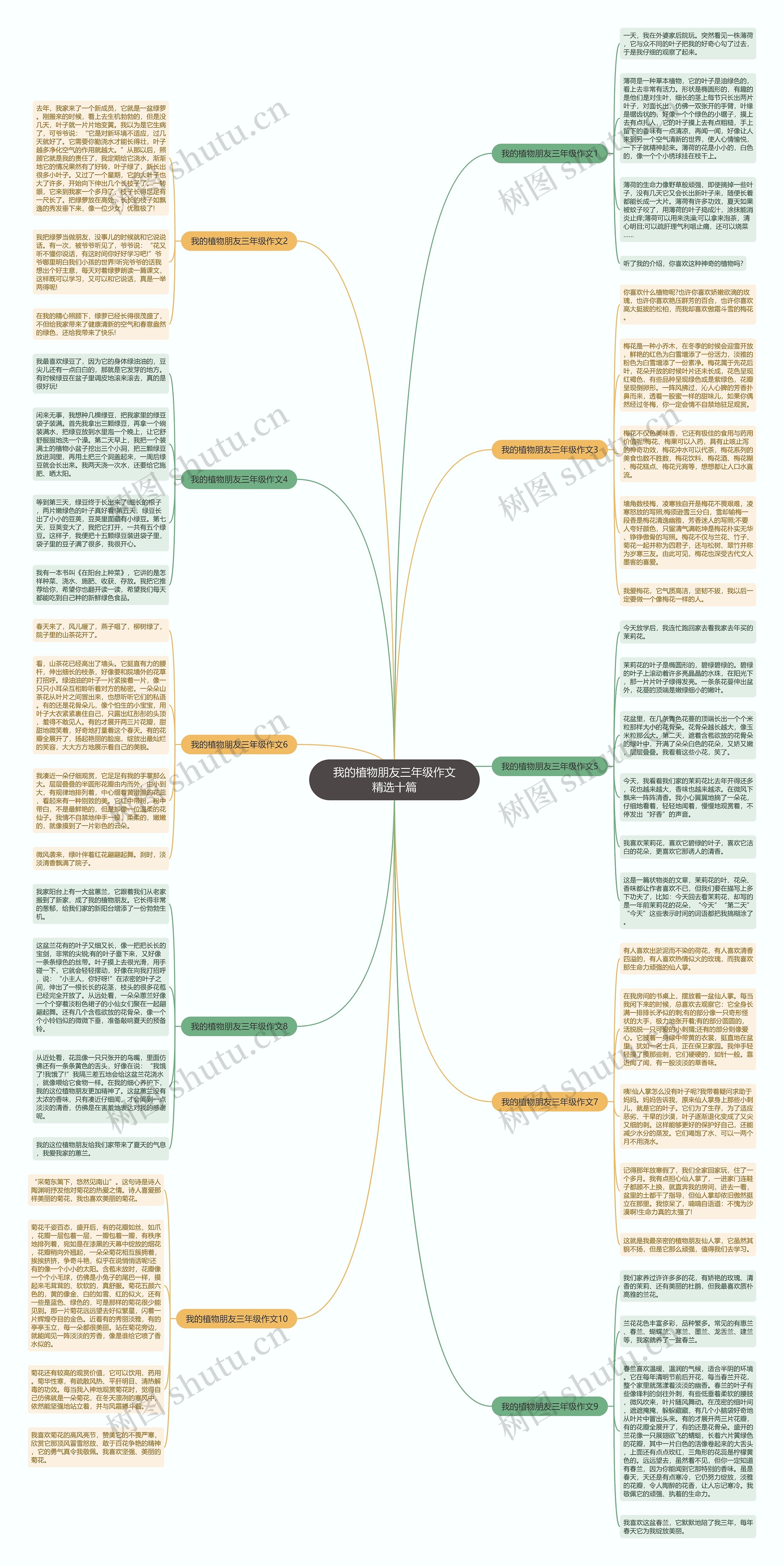 我的植物朋友三年级作文精选十篇