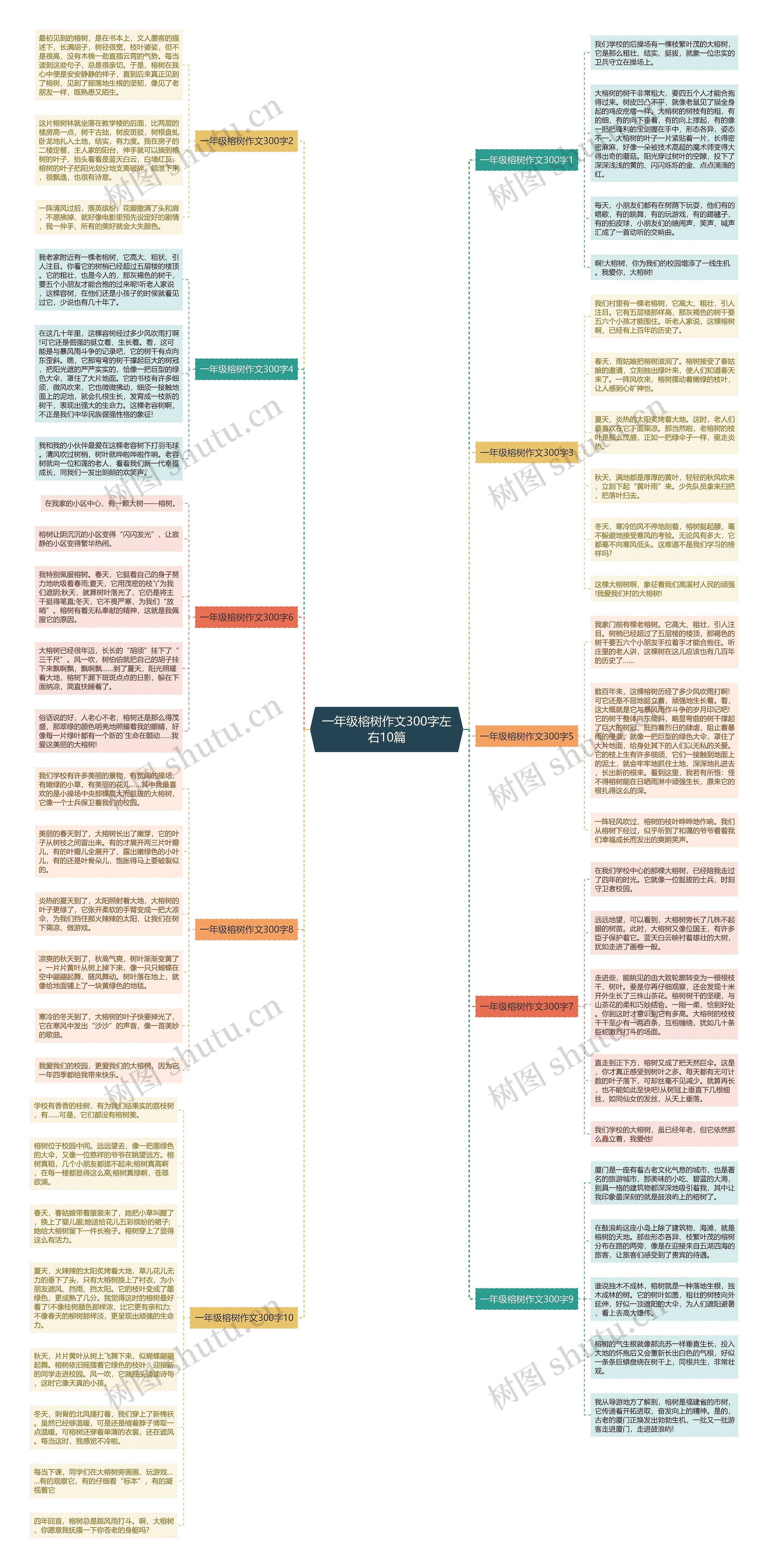 一年级榕树作文300字左右10篇思维导图