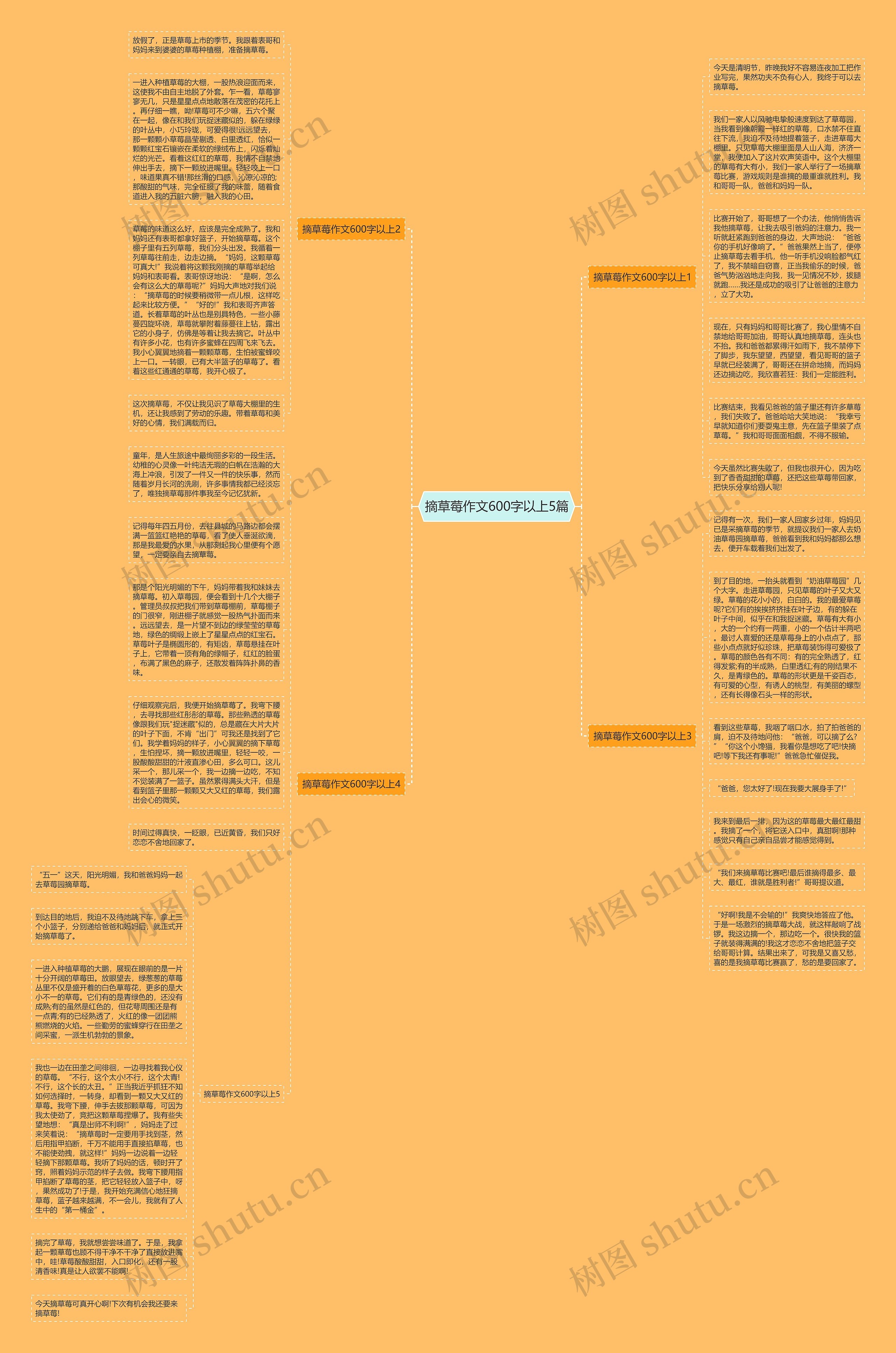 摘草莓作文600字以上5篇思维导图