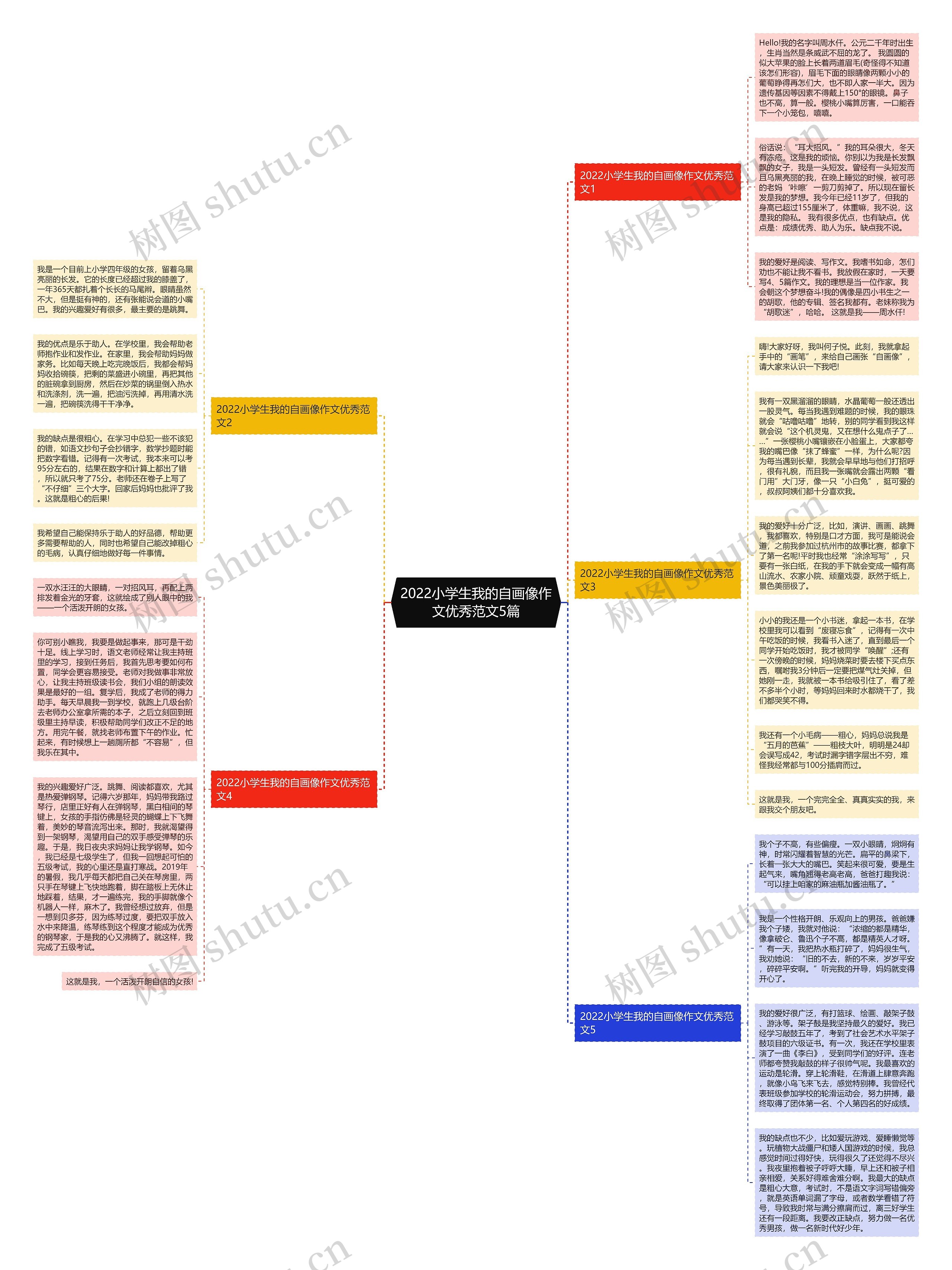 2022小学生我的自画像作文优秀范文5篇思维导图