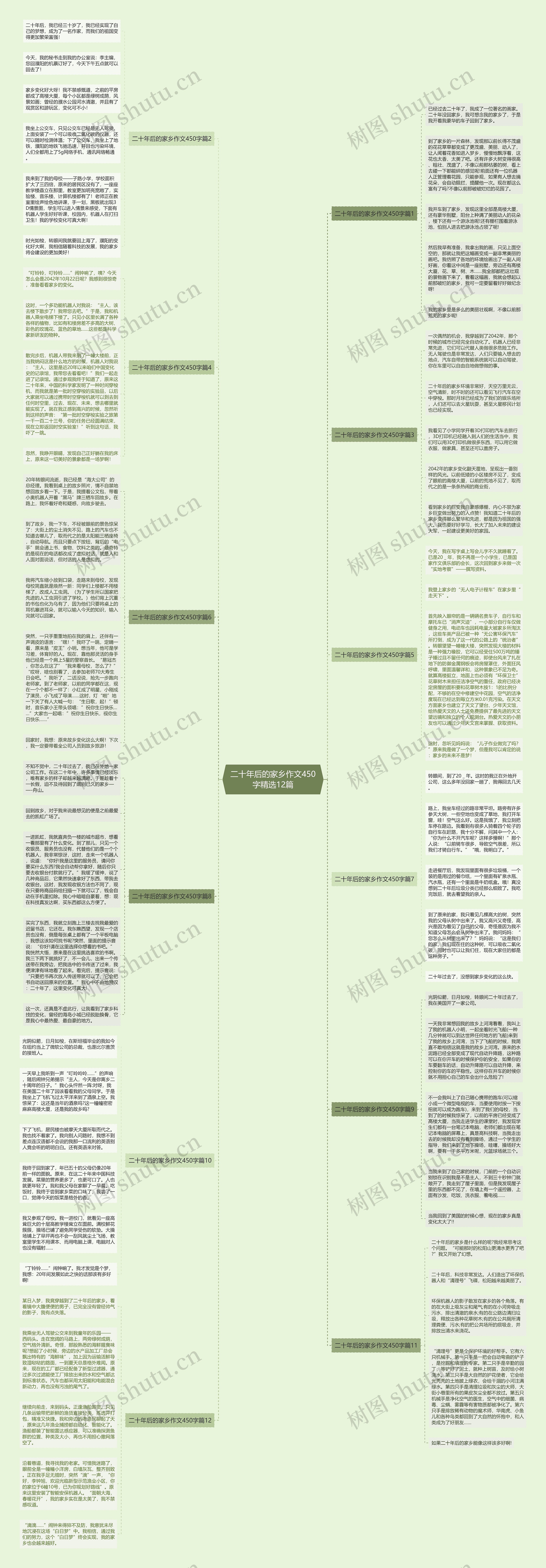 二十年后的家乡作文450字精选12篇思维导图
