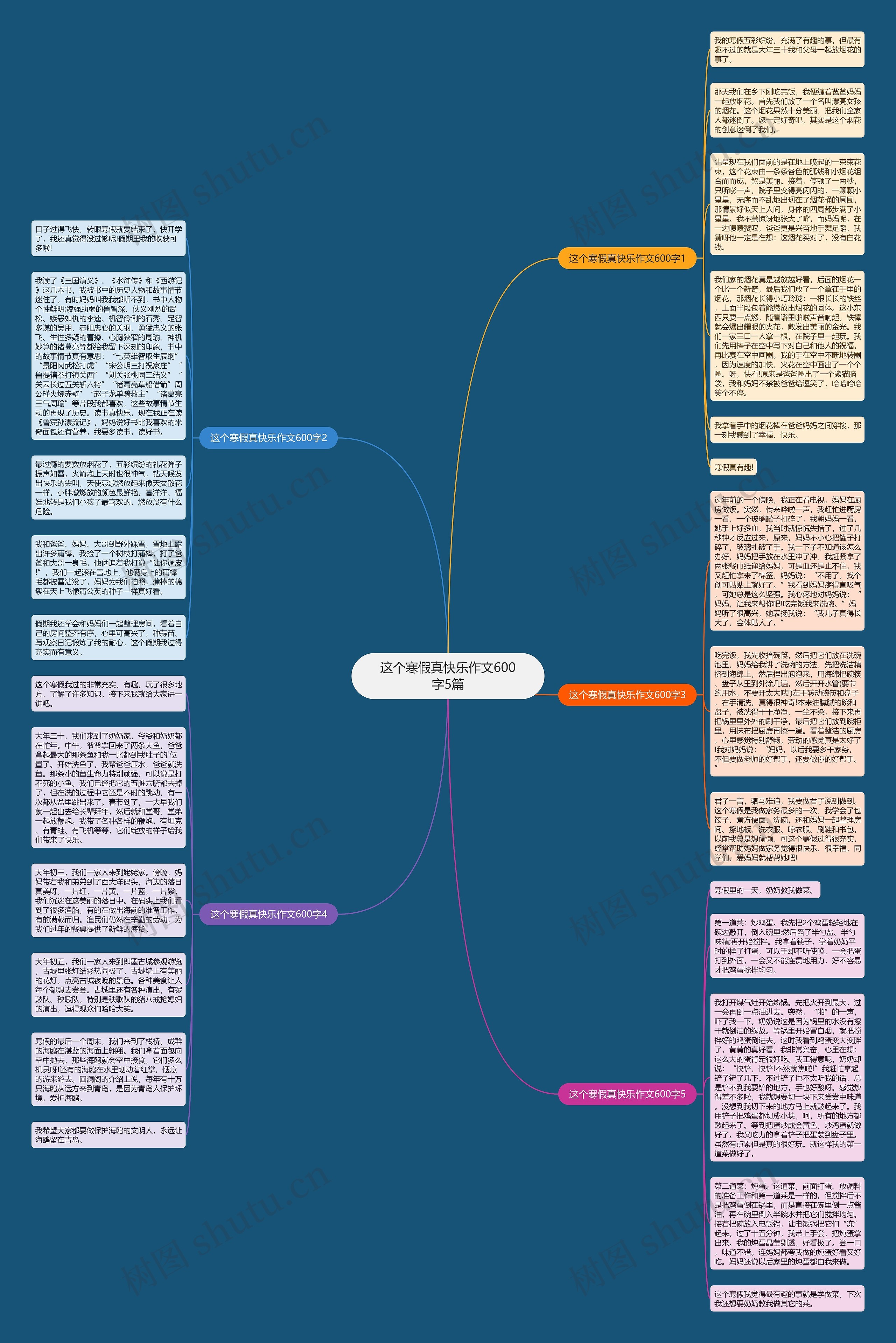 这个寒假真快乐作文600字5篇思维导图