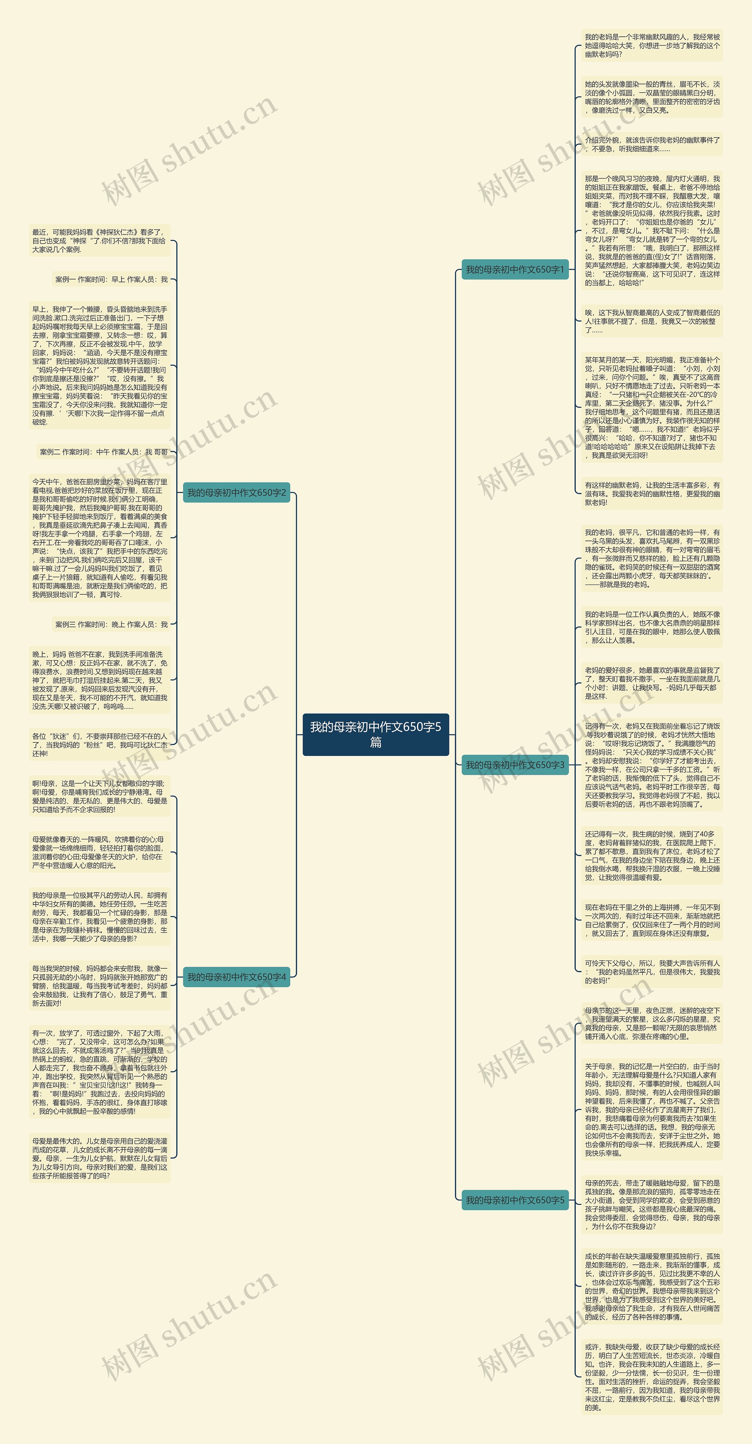 我的母亲初中作文650字5篇思维导图