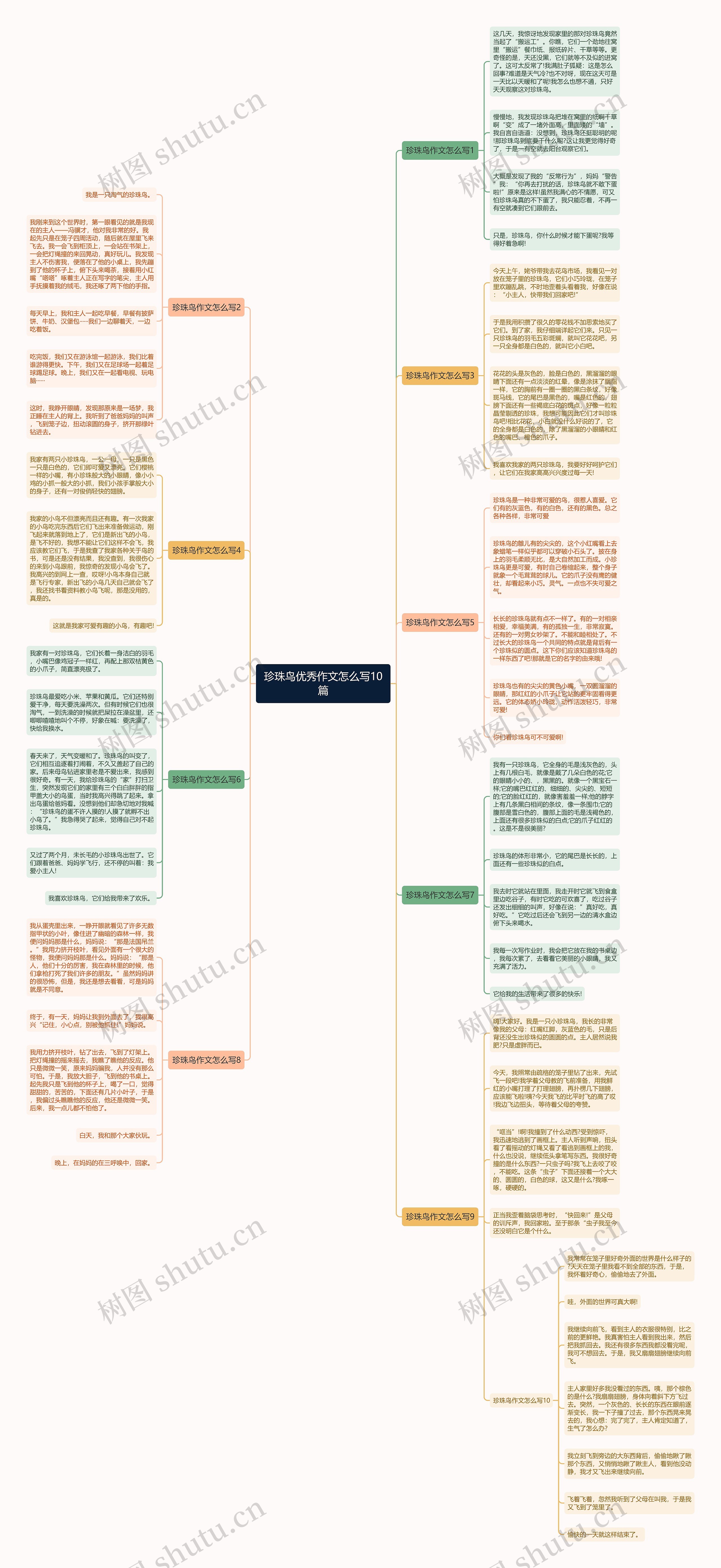 珍珠鸟优秀作文怎么写10篇思维导图