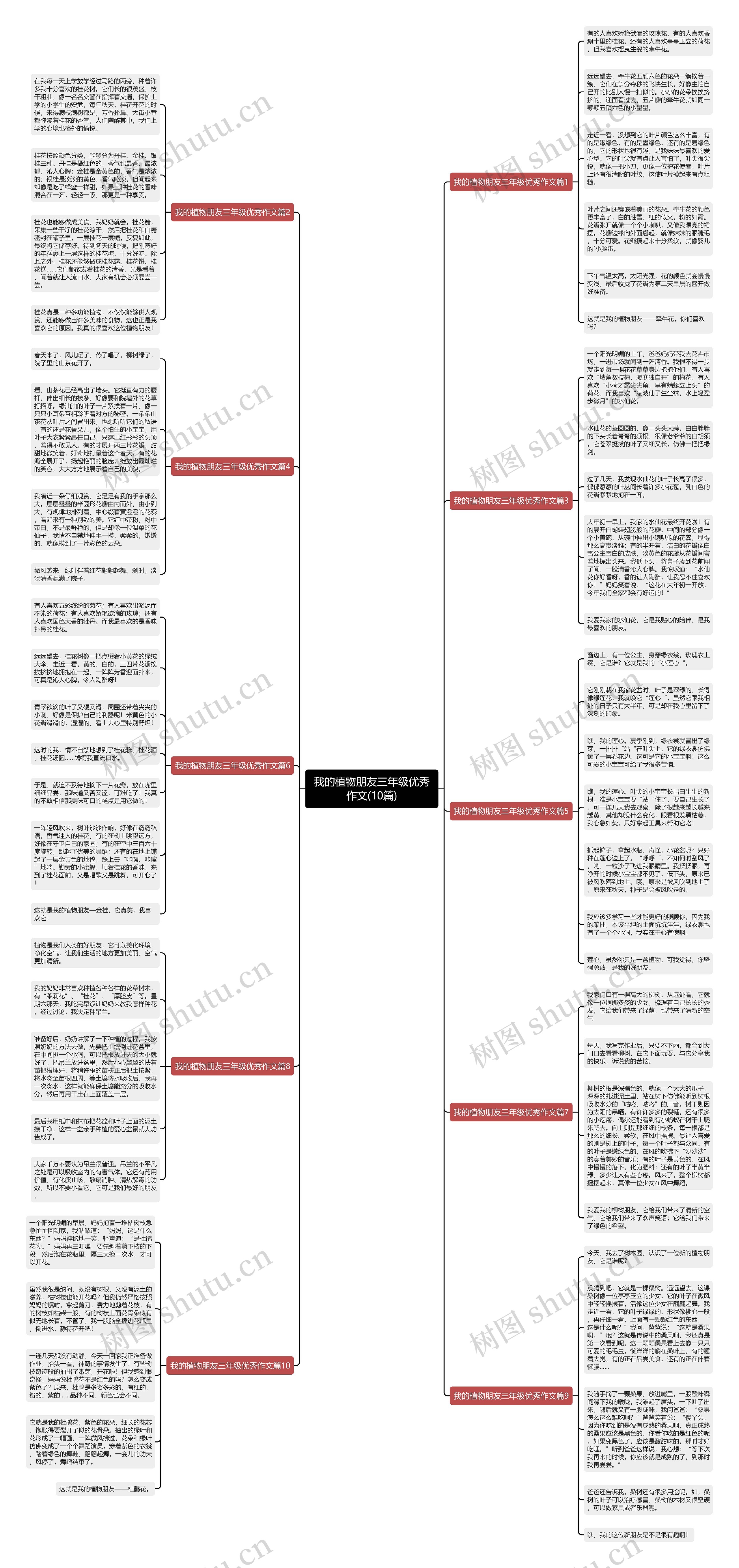 我的植物朋友三年级优秀作文(10篇)思维导图