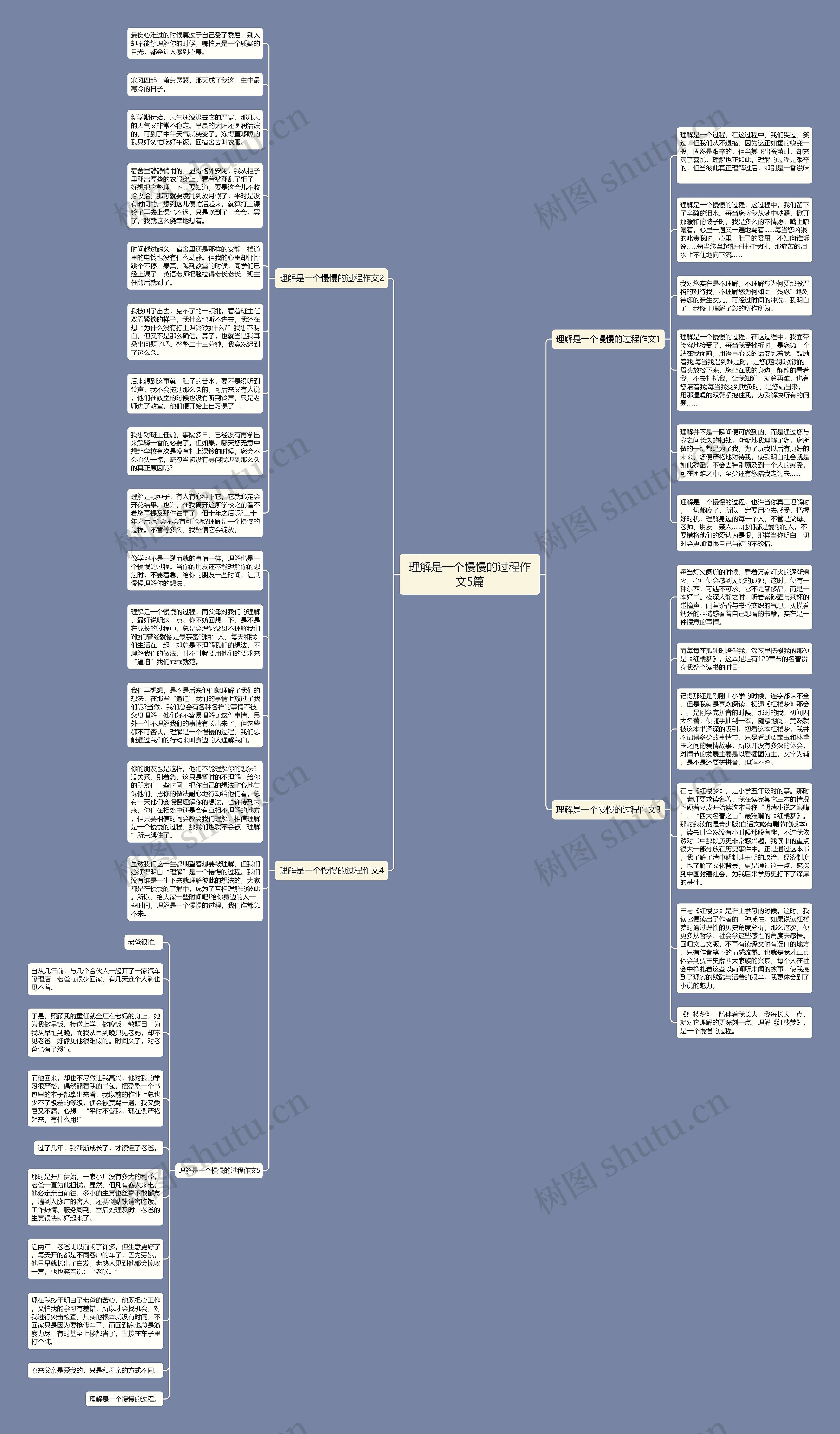 理解是一个慢慢的过程作文5篇思维导图