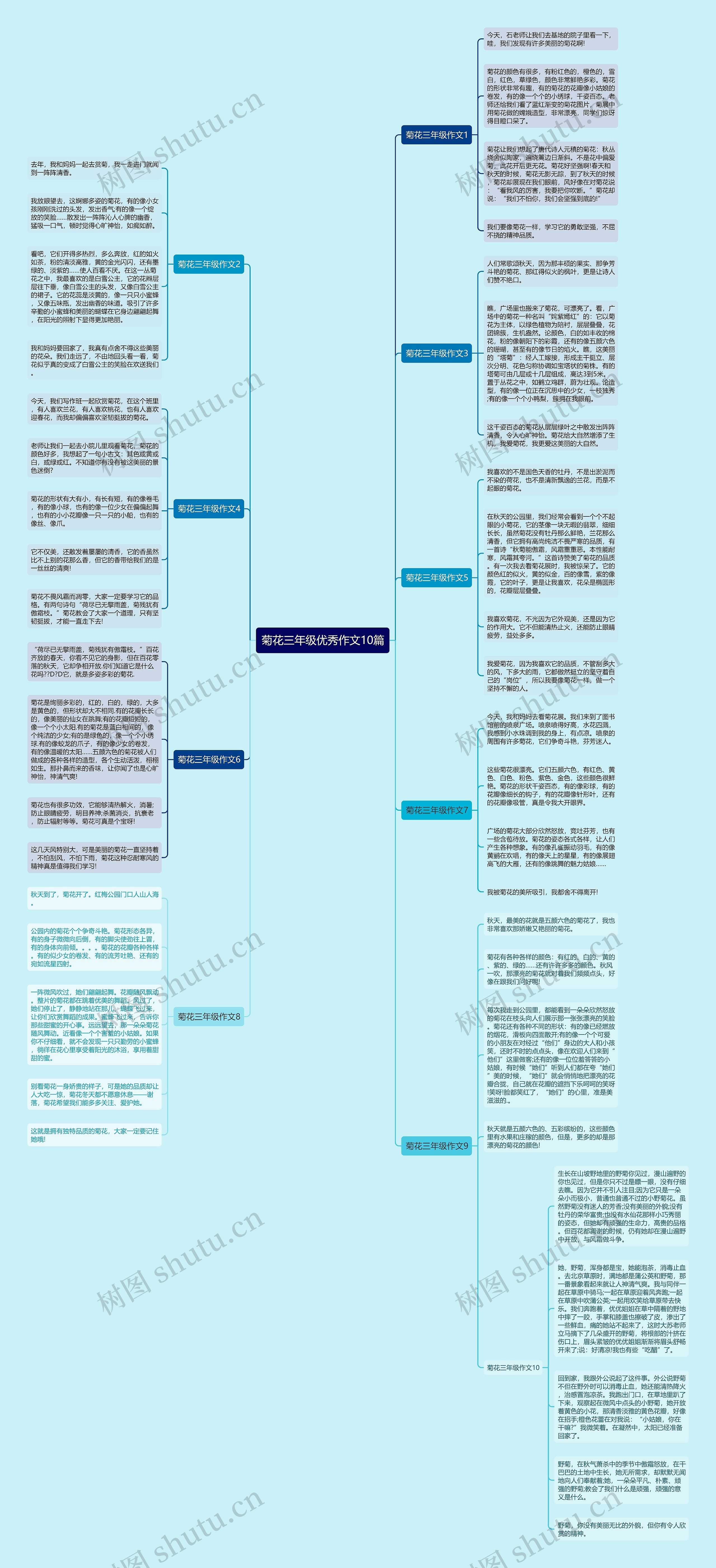 菊花三年级优秀作文10篇思维导图