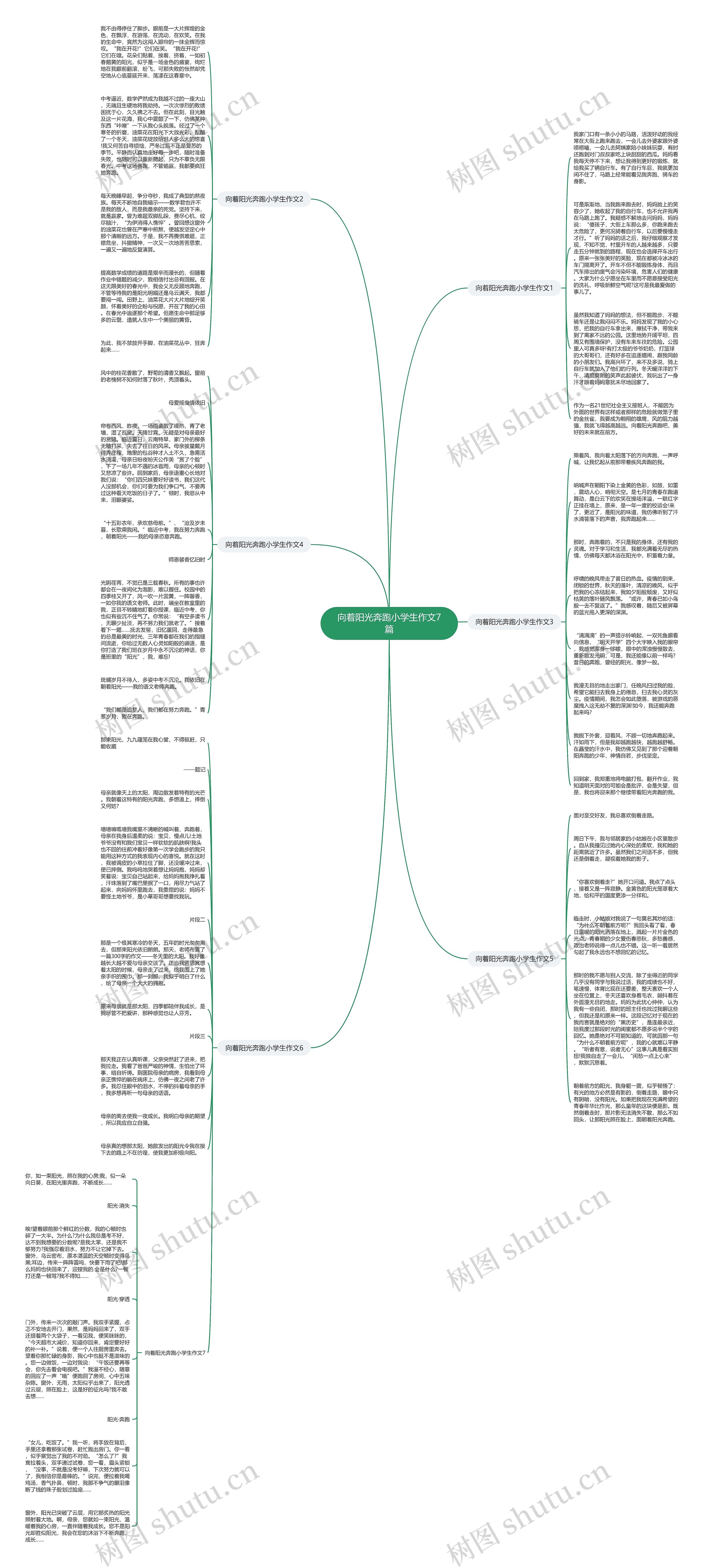 向着阳光奔跑小学生作文7篇思维导图