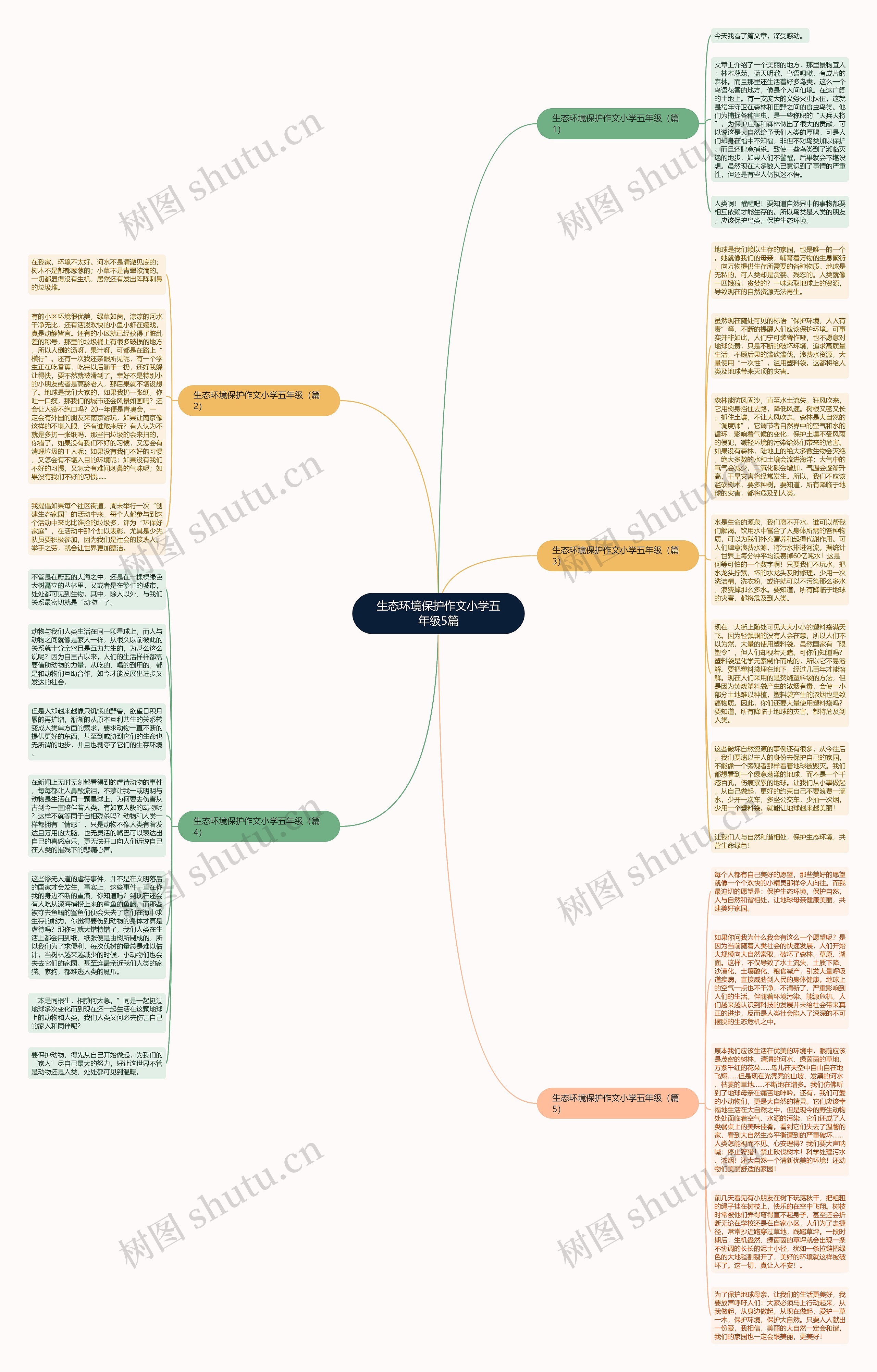 生态环境保护作文小学五年级5篇思维导图