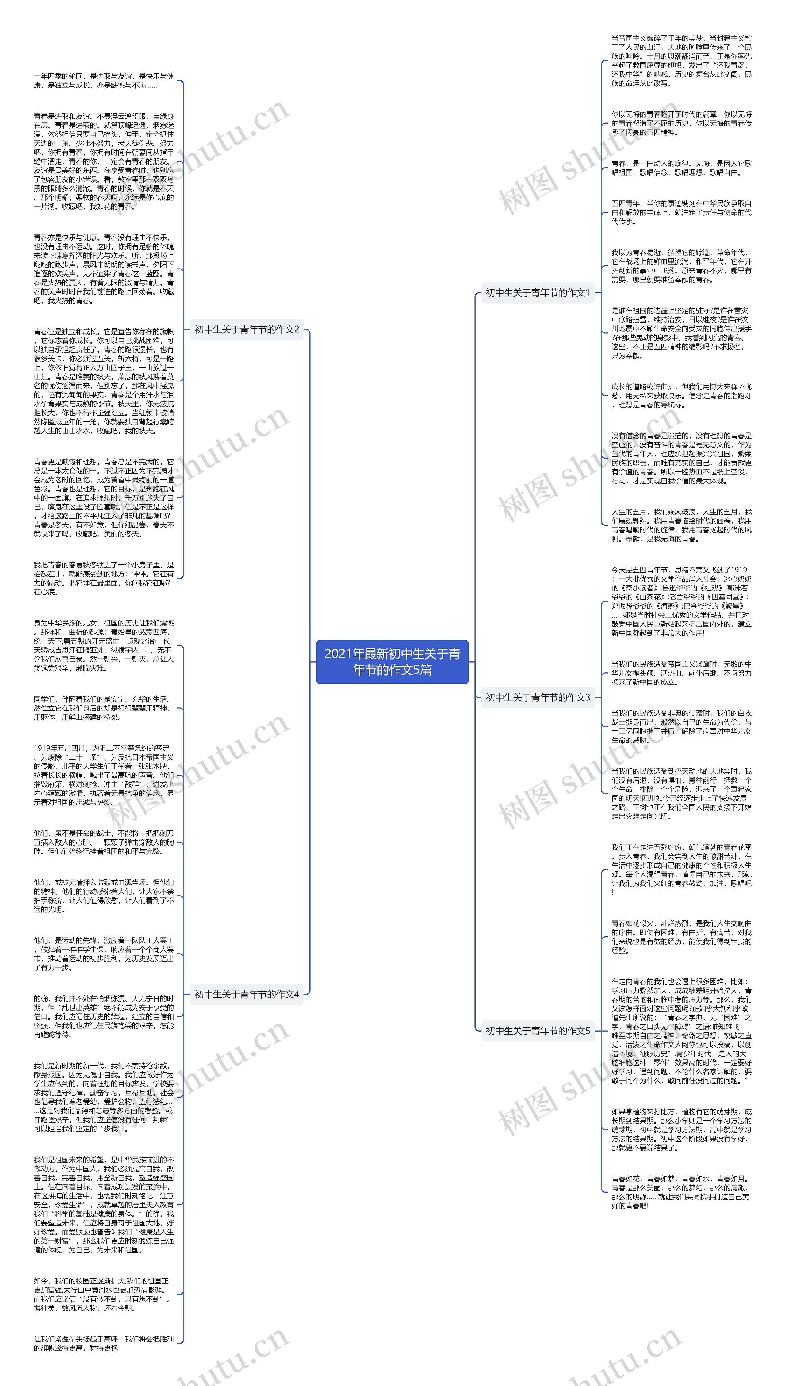 2021年最新初中生关于青年节的作文5篇思维导图