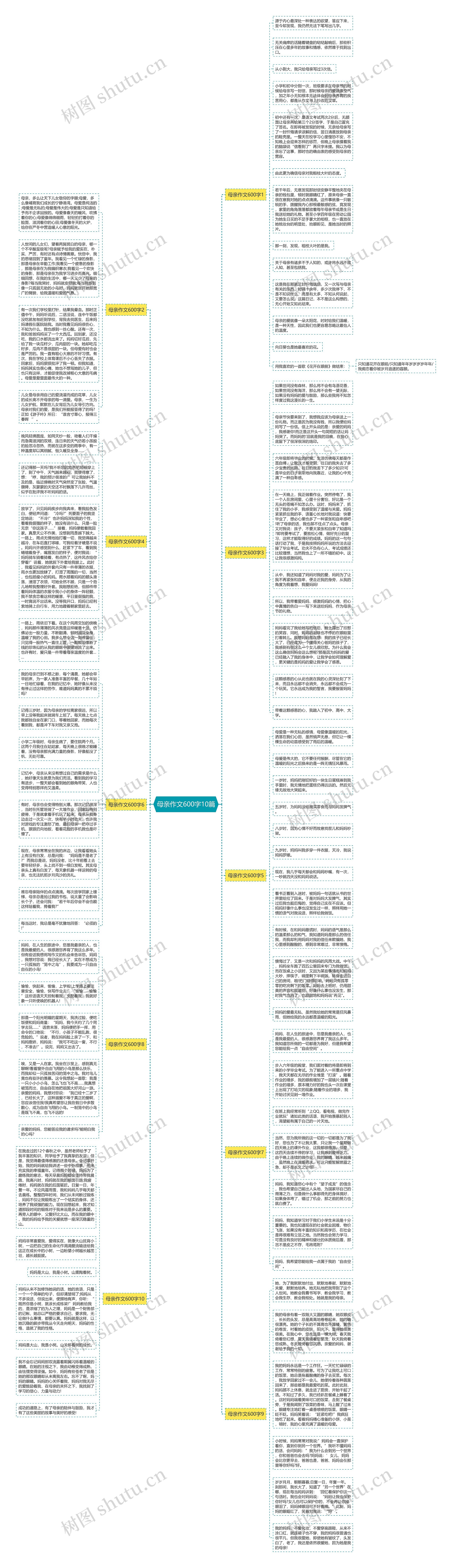 母亲作文600字10篇思维导图