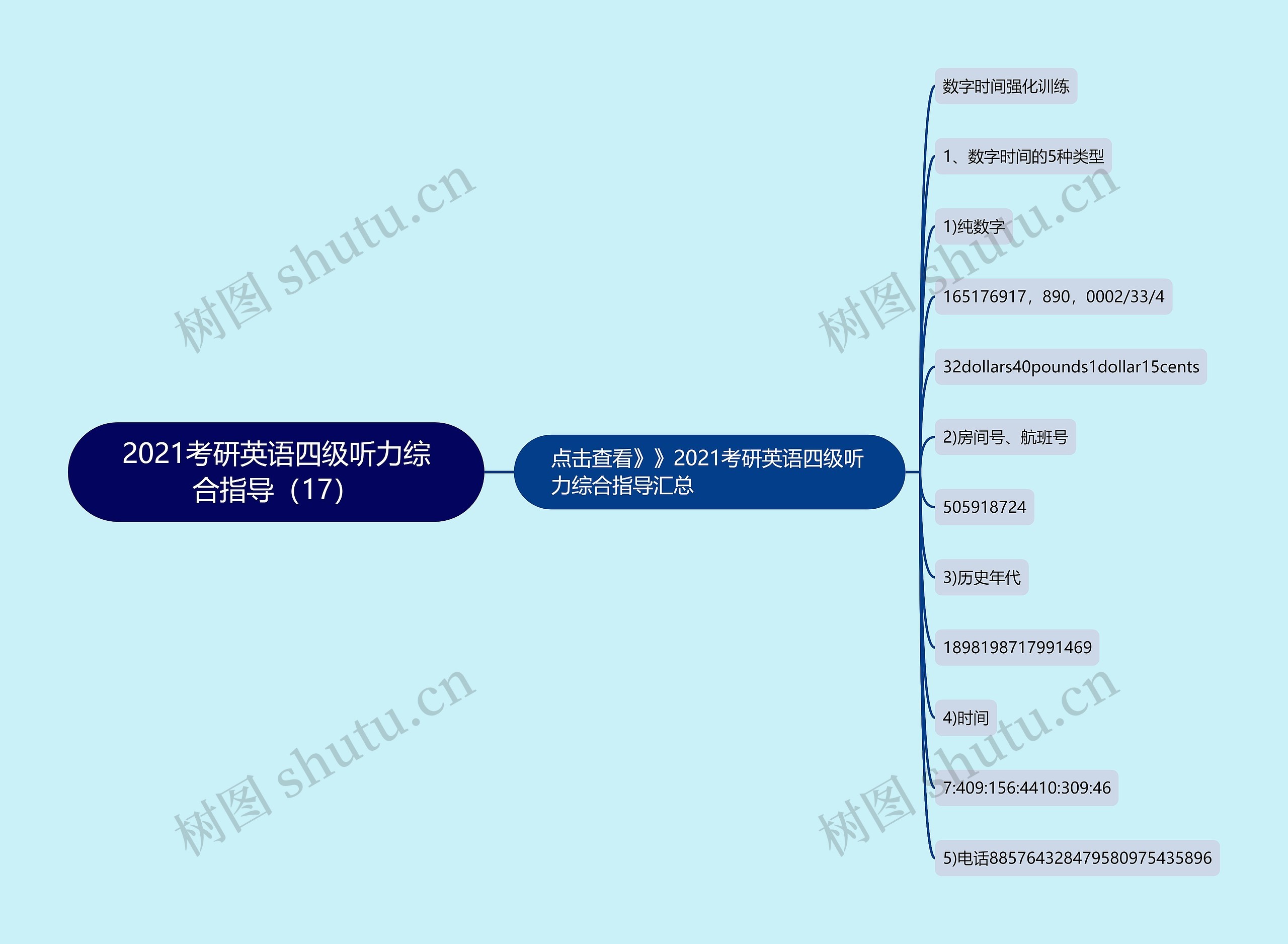 2021考研英语四级听力综合指导（17）