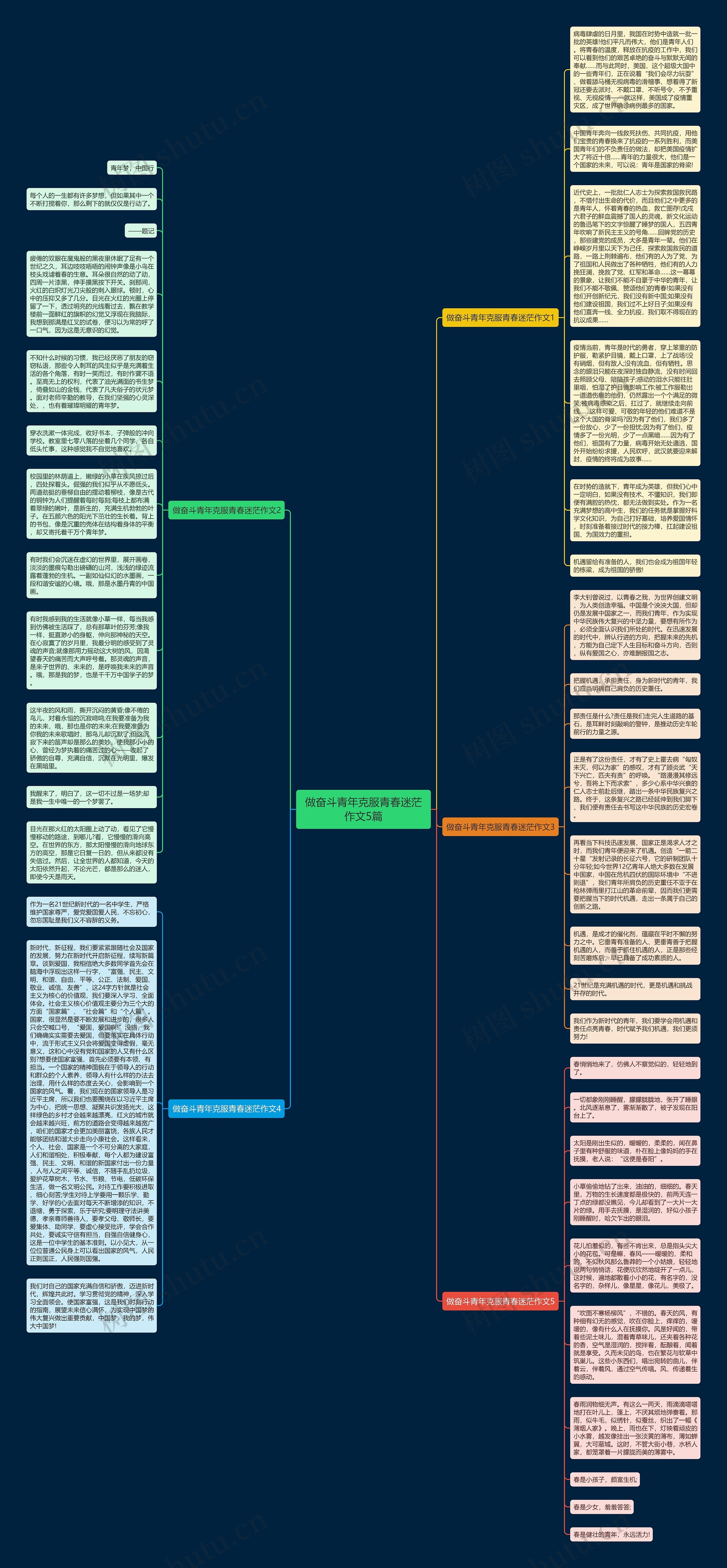 做奋斗青年克服青春迷茫作文5篇思维导图