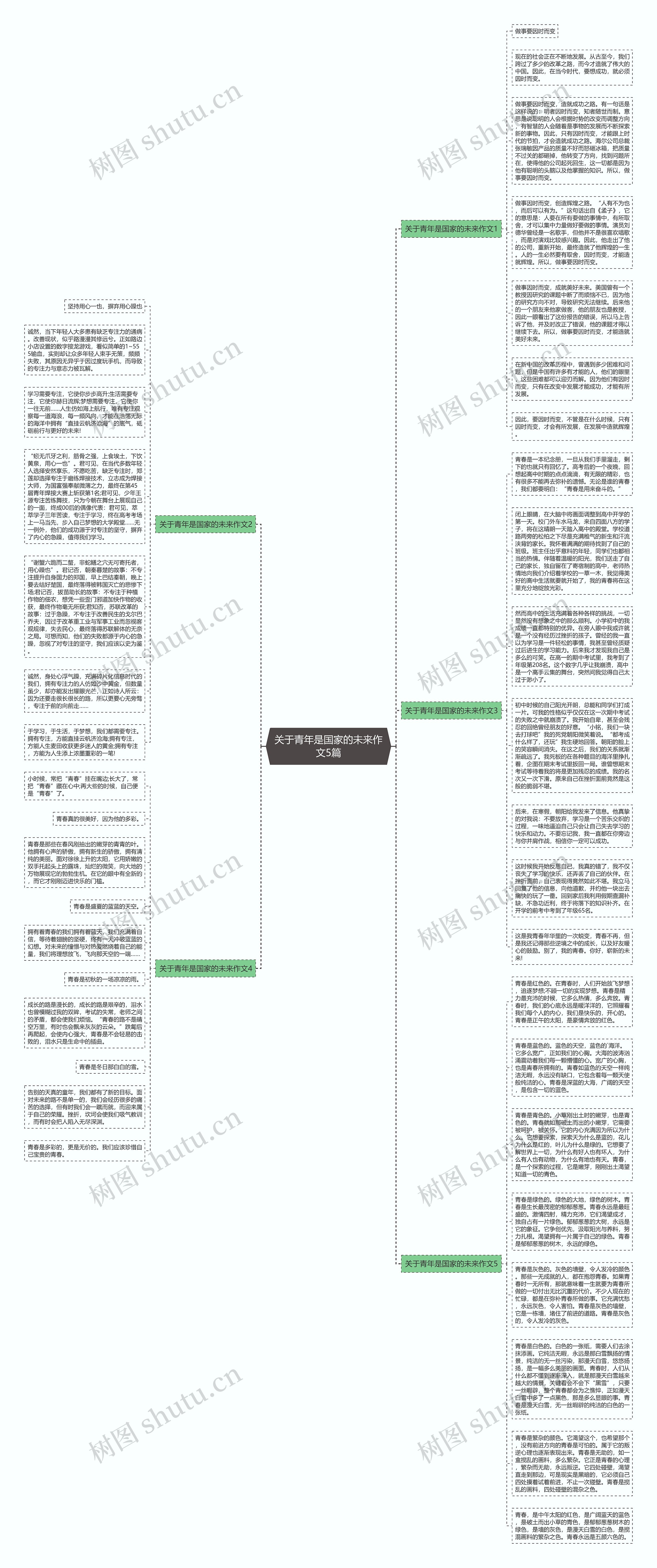 关于青年是国家的未来作文5篇思维导图