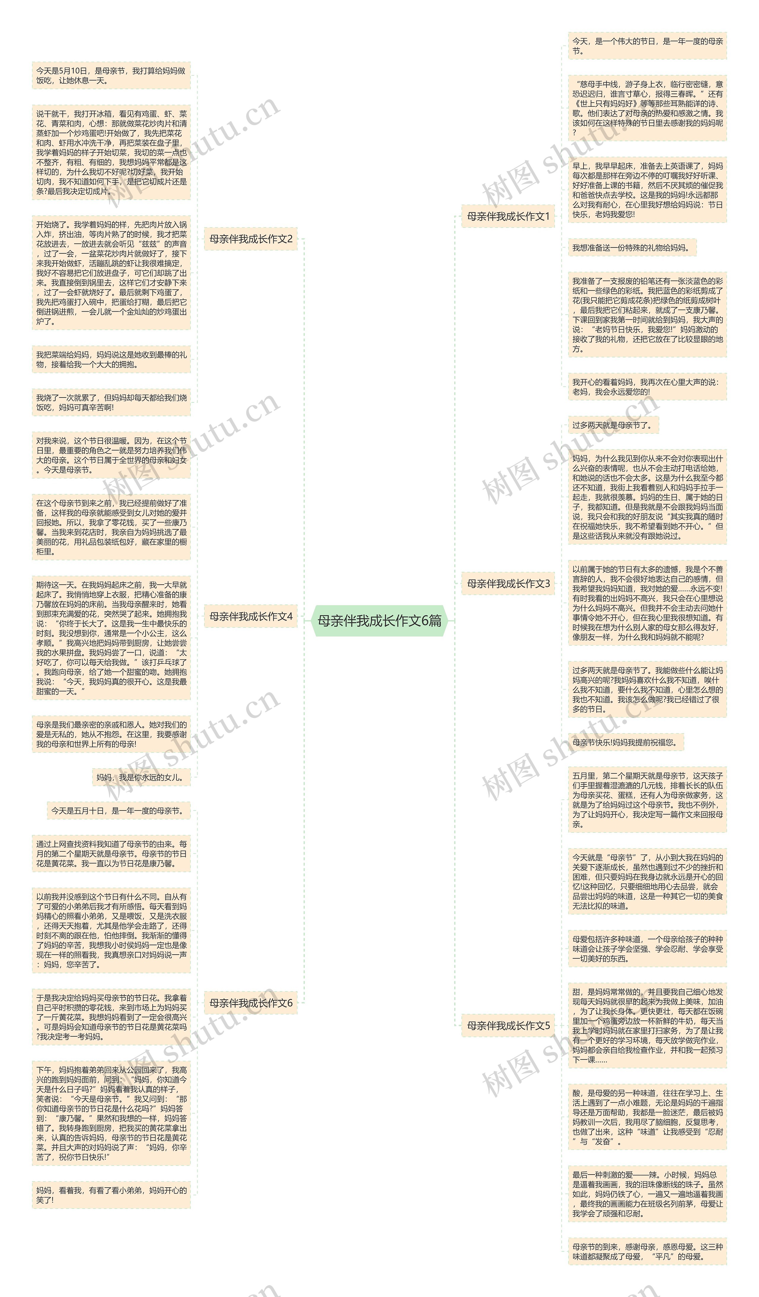 母亲伴我成长作文6篇思维导图