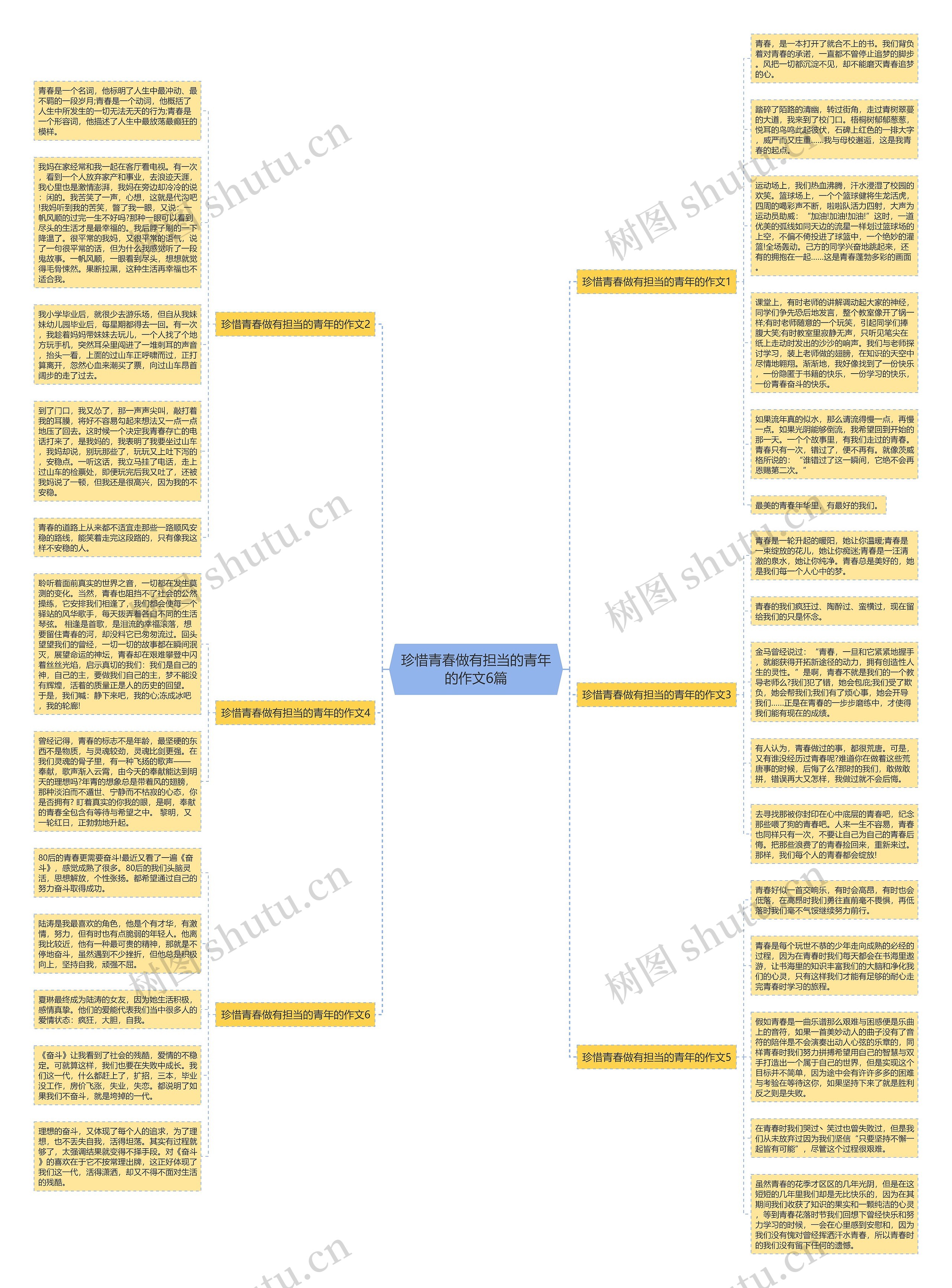 珍惜青春做有担当的青年的作文6篇思维导图