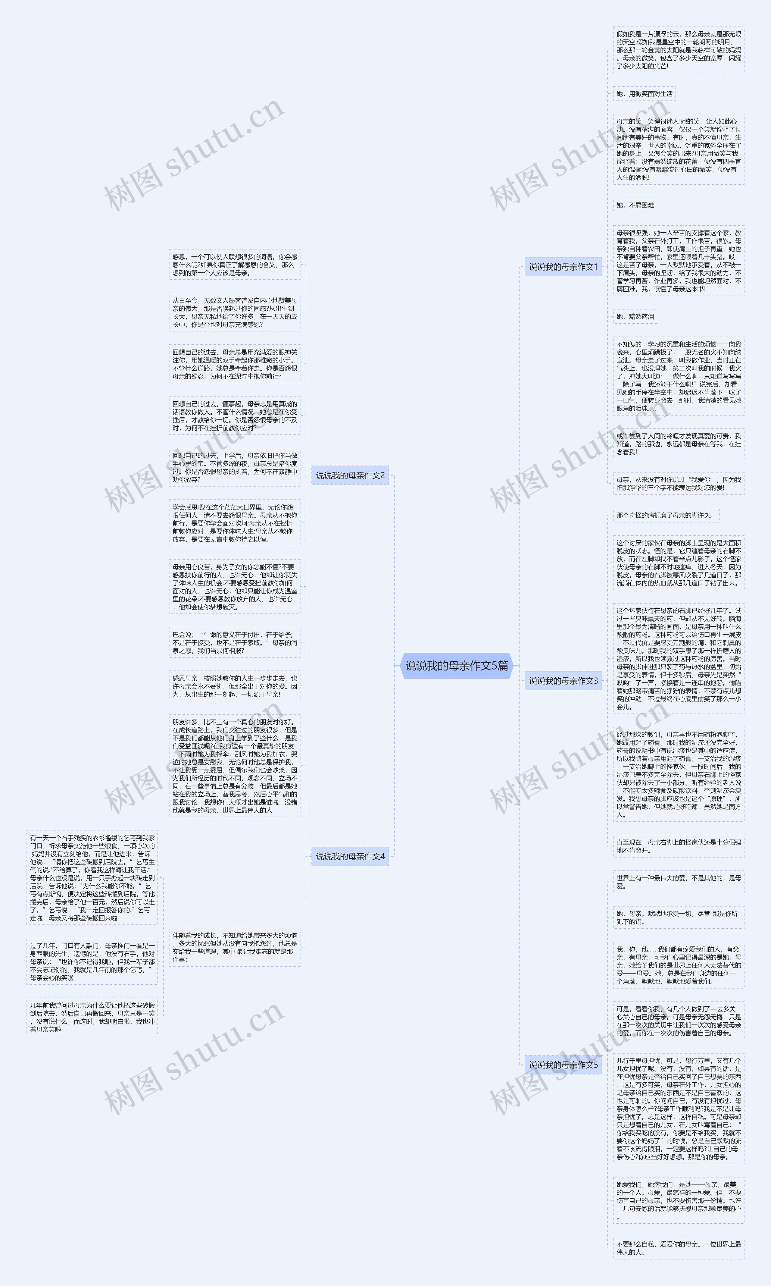 说说我的母亲作文5篇