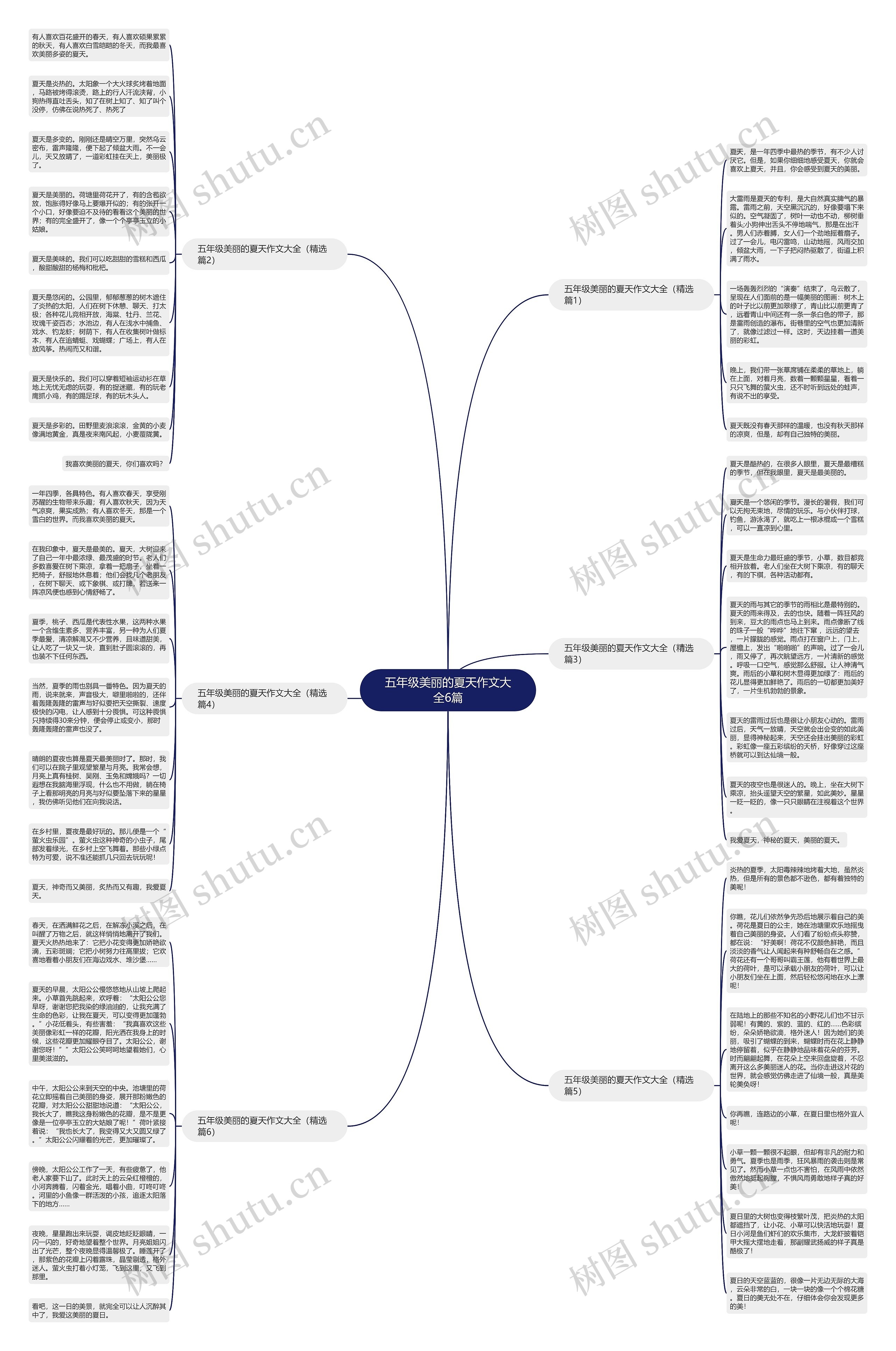 五年级美丽的夏天作文大全6篇思维导图