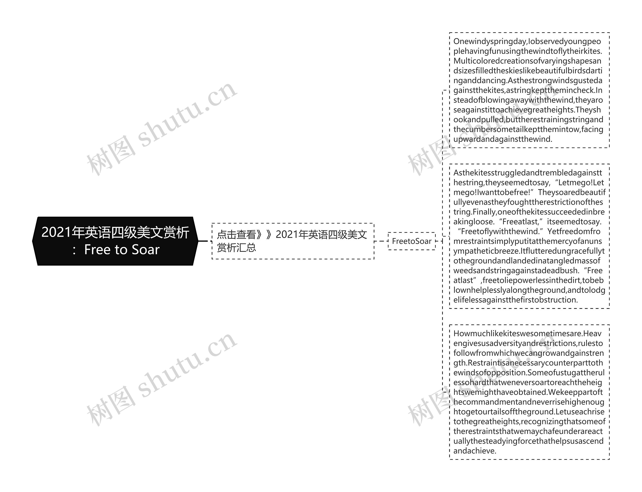 2021年英语四级美文赏析：Free to Soar思维导图