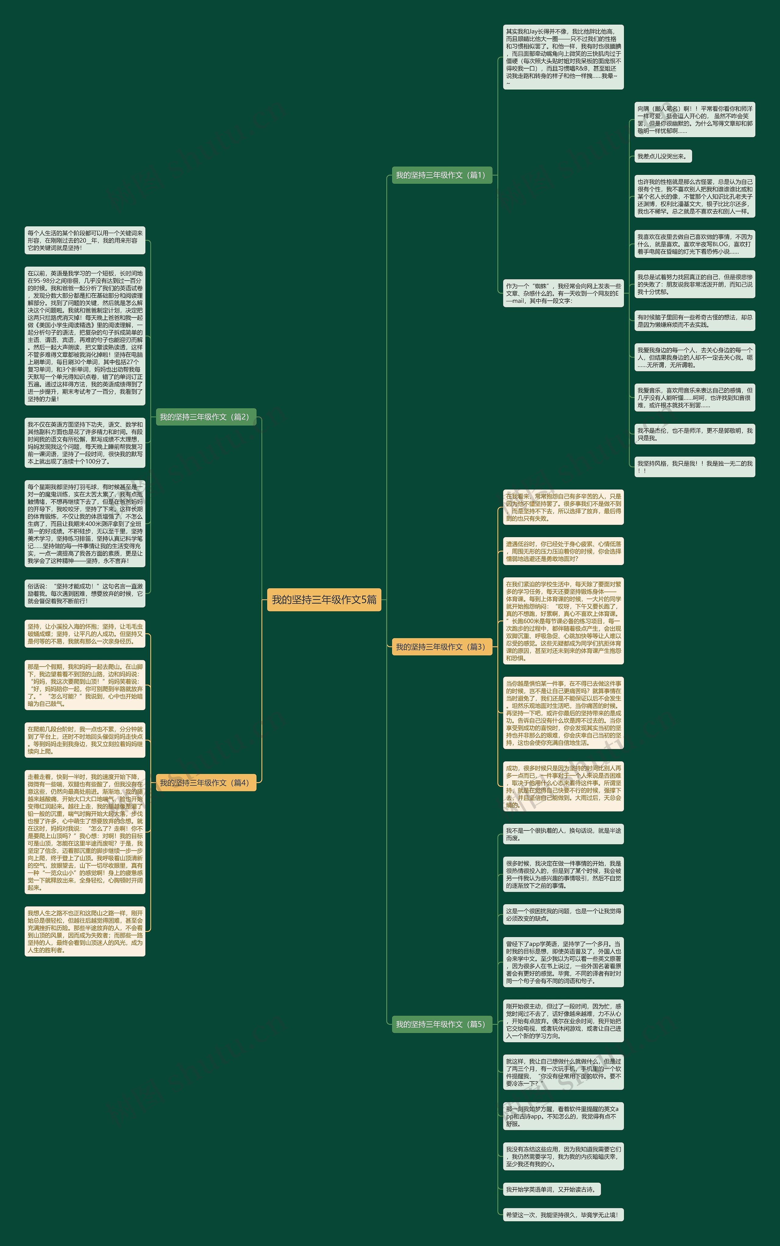 我的坚持三年级作文5篇思维导图