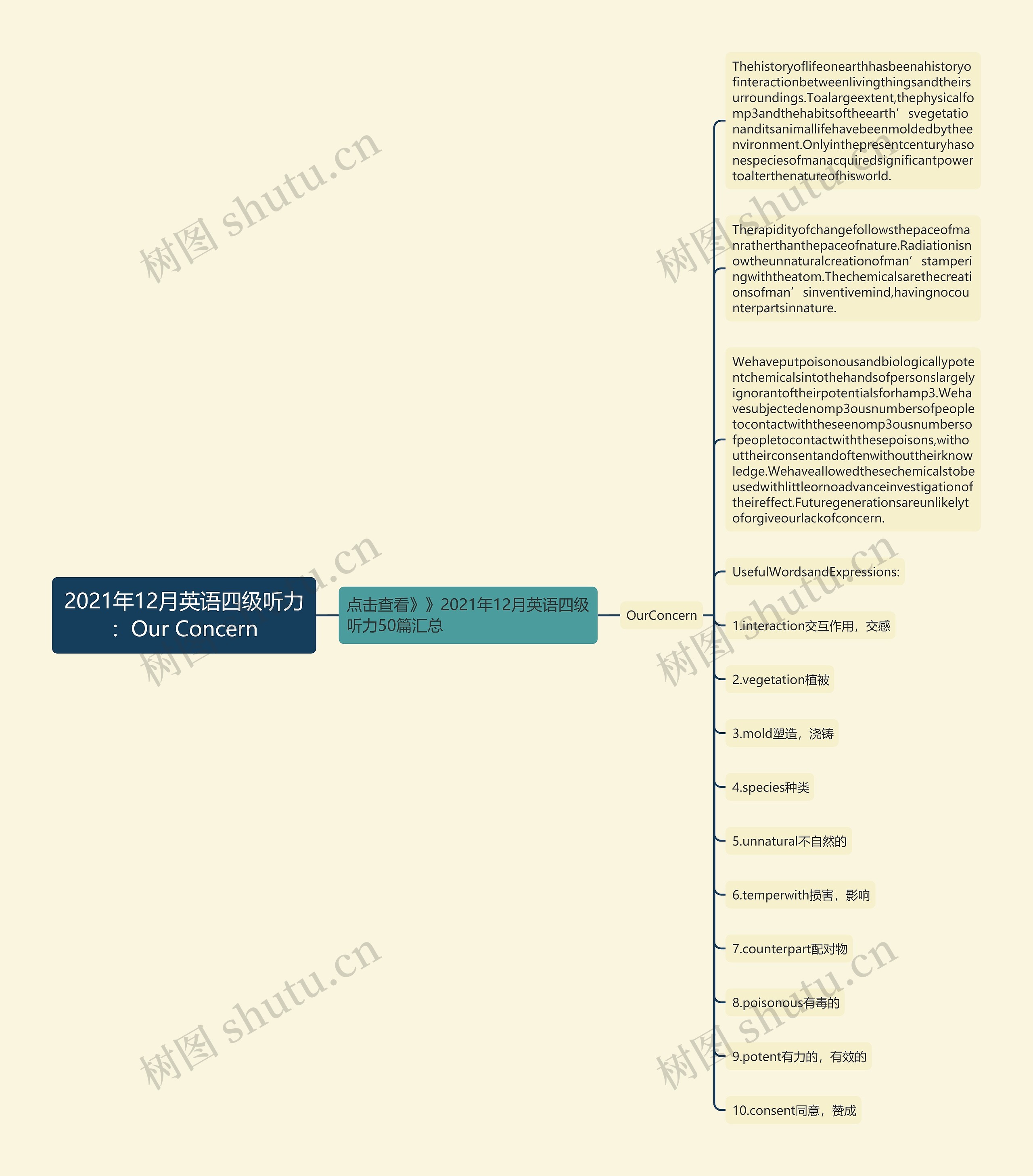 2021年12月英语四级听力：Our Concern思维导图