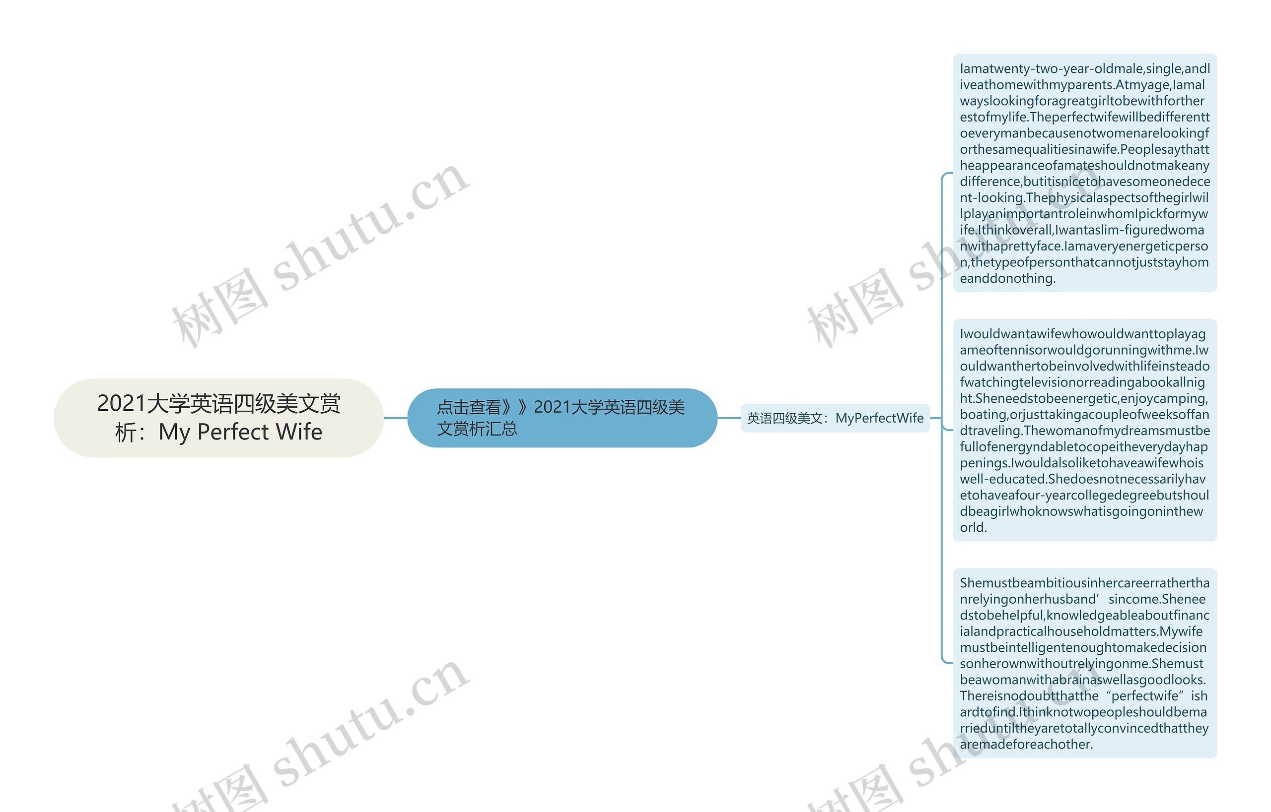 2021大学英语四级美文赏析：My Perfect Wife思维导图