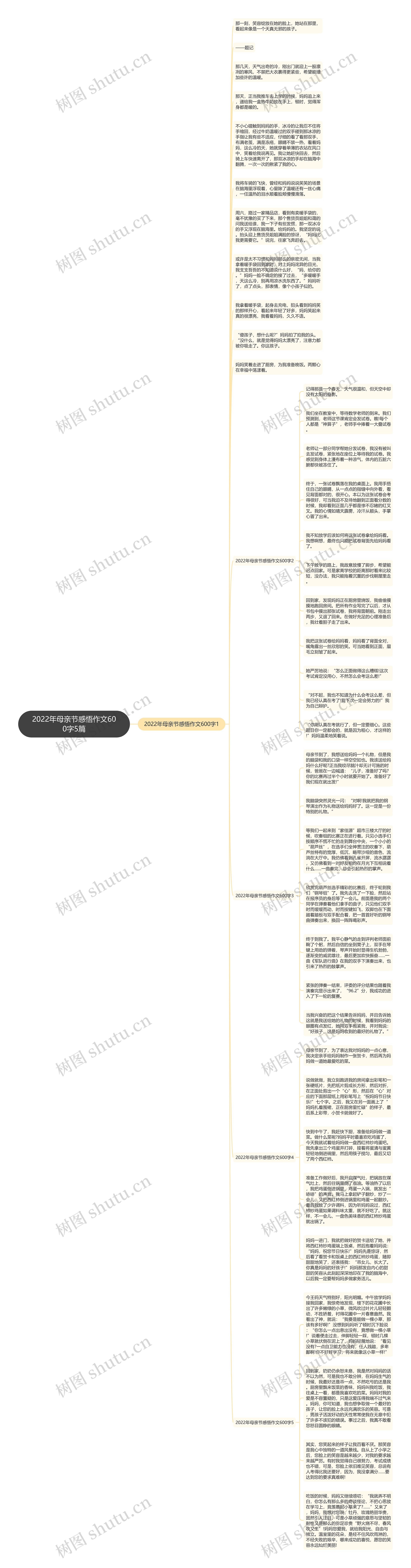 2022年母亲节感悟作文600字5篇