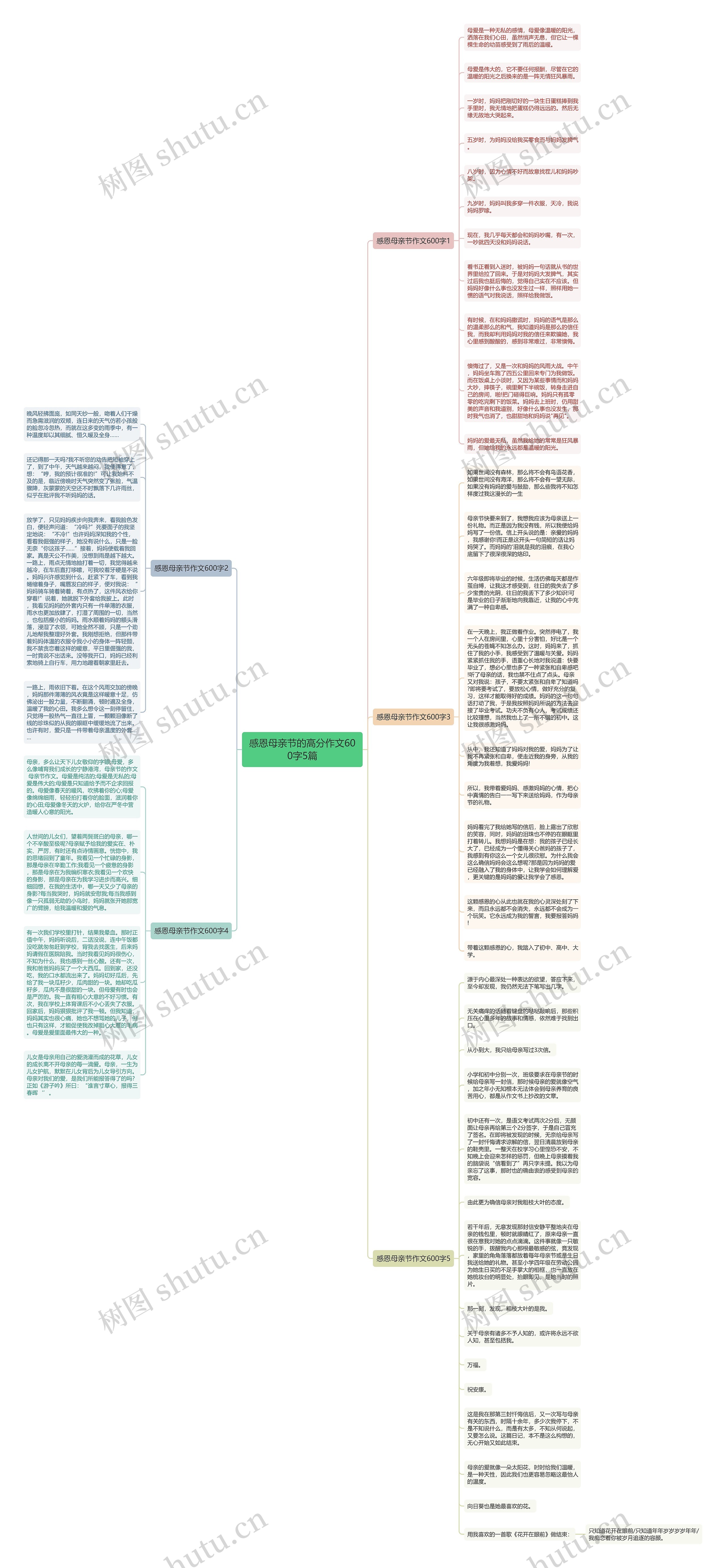 感恩母亲节的高分作文600字5篇思维导图