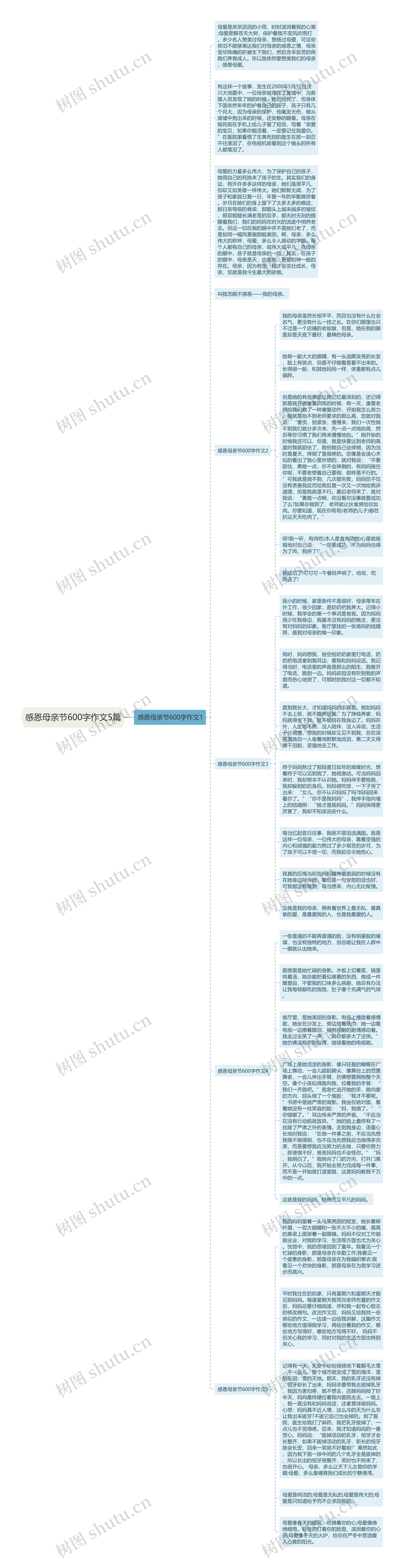 感恩母亲节600字作文5篇思维导图