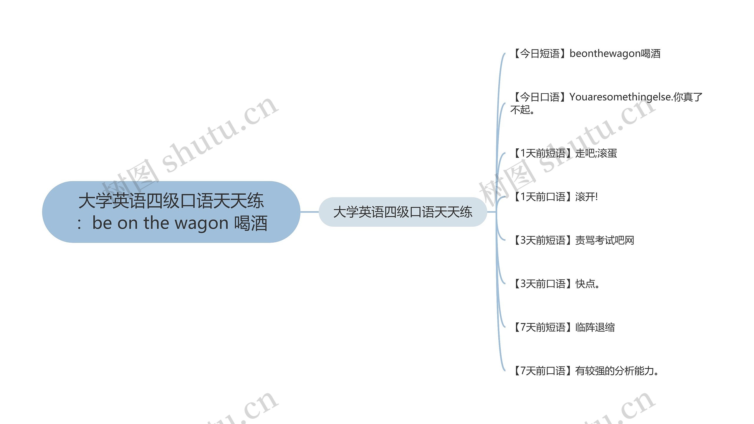 大学英语四级口语天天练：be on the wagon 喝酒思维导图