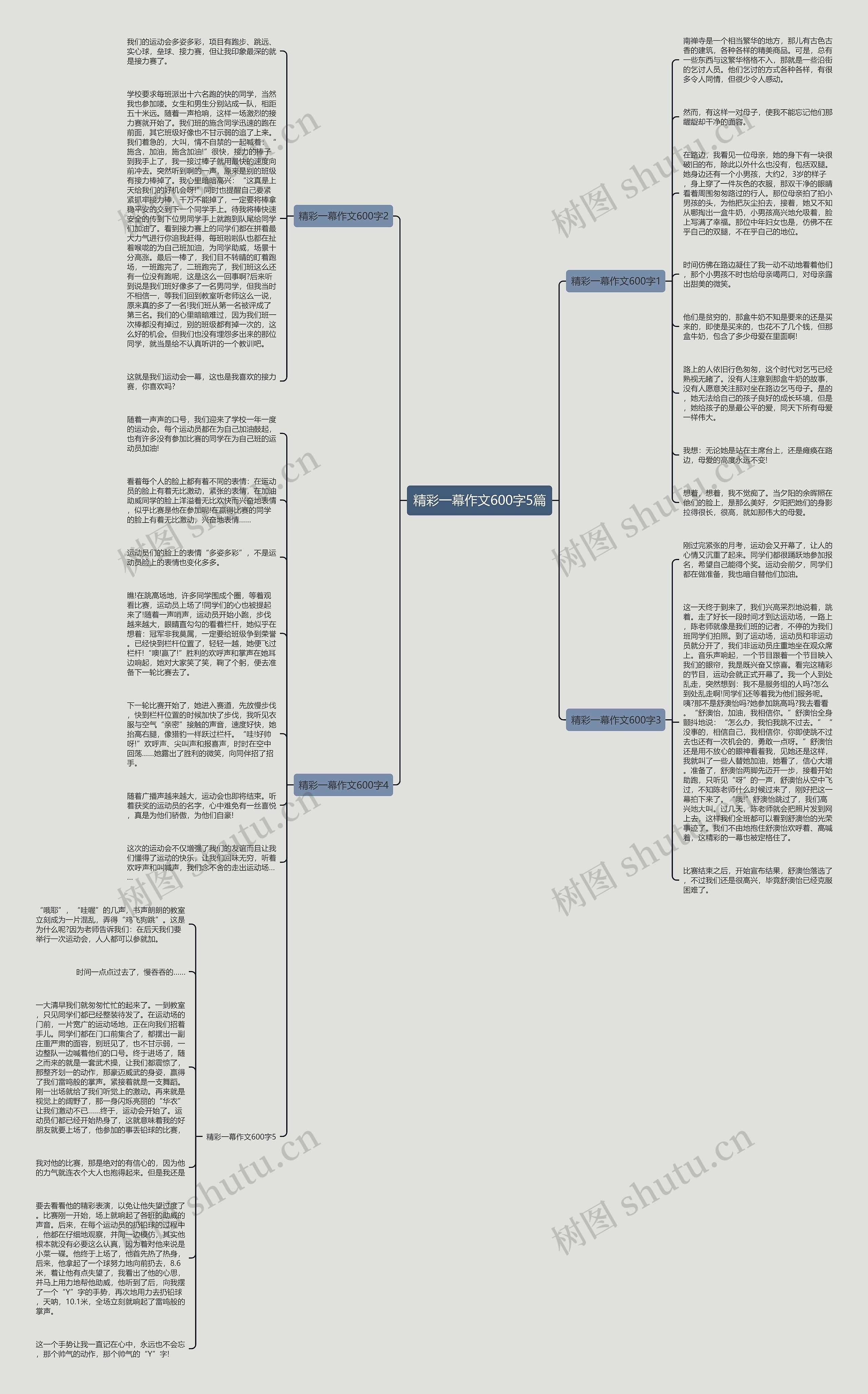 精彩一幕作文600字5篇思维导图