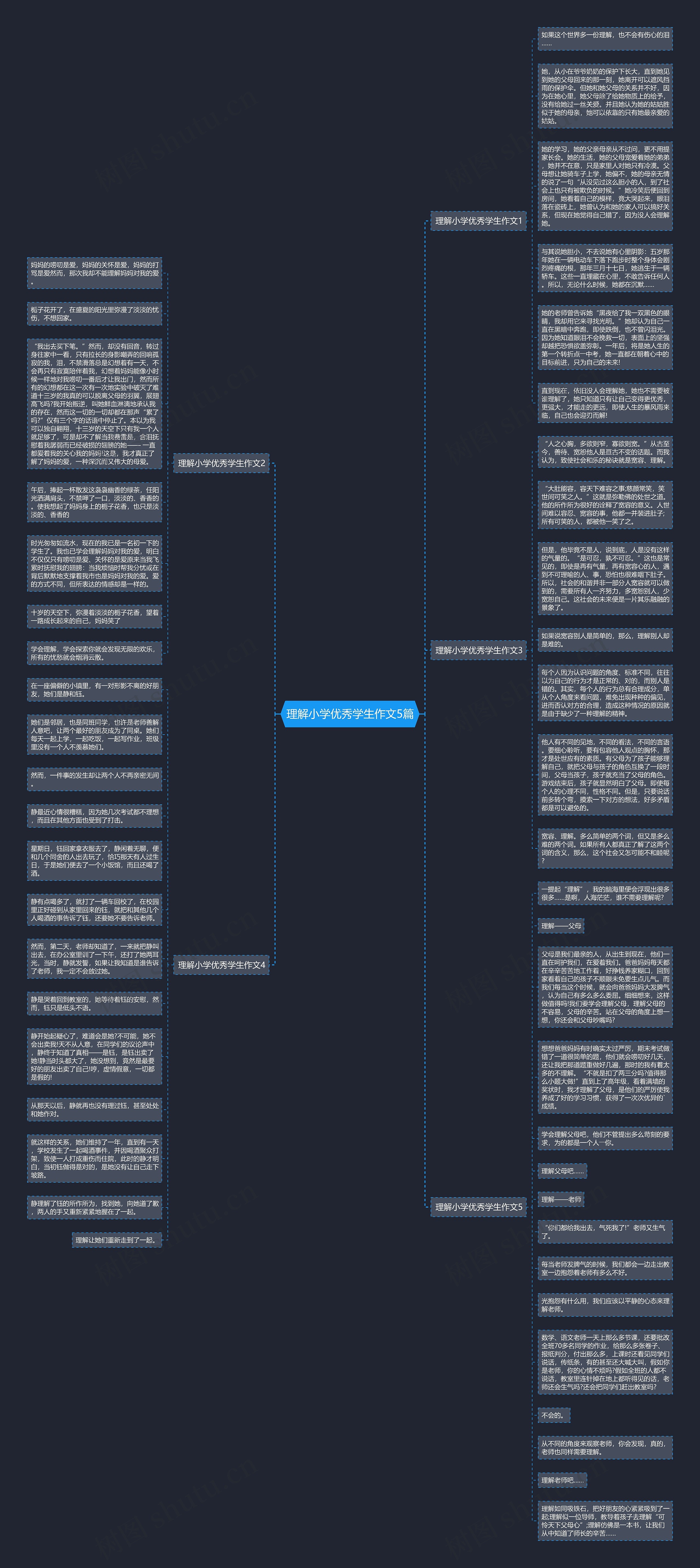 理解小学优秀学生作文5篇思维导图