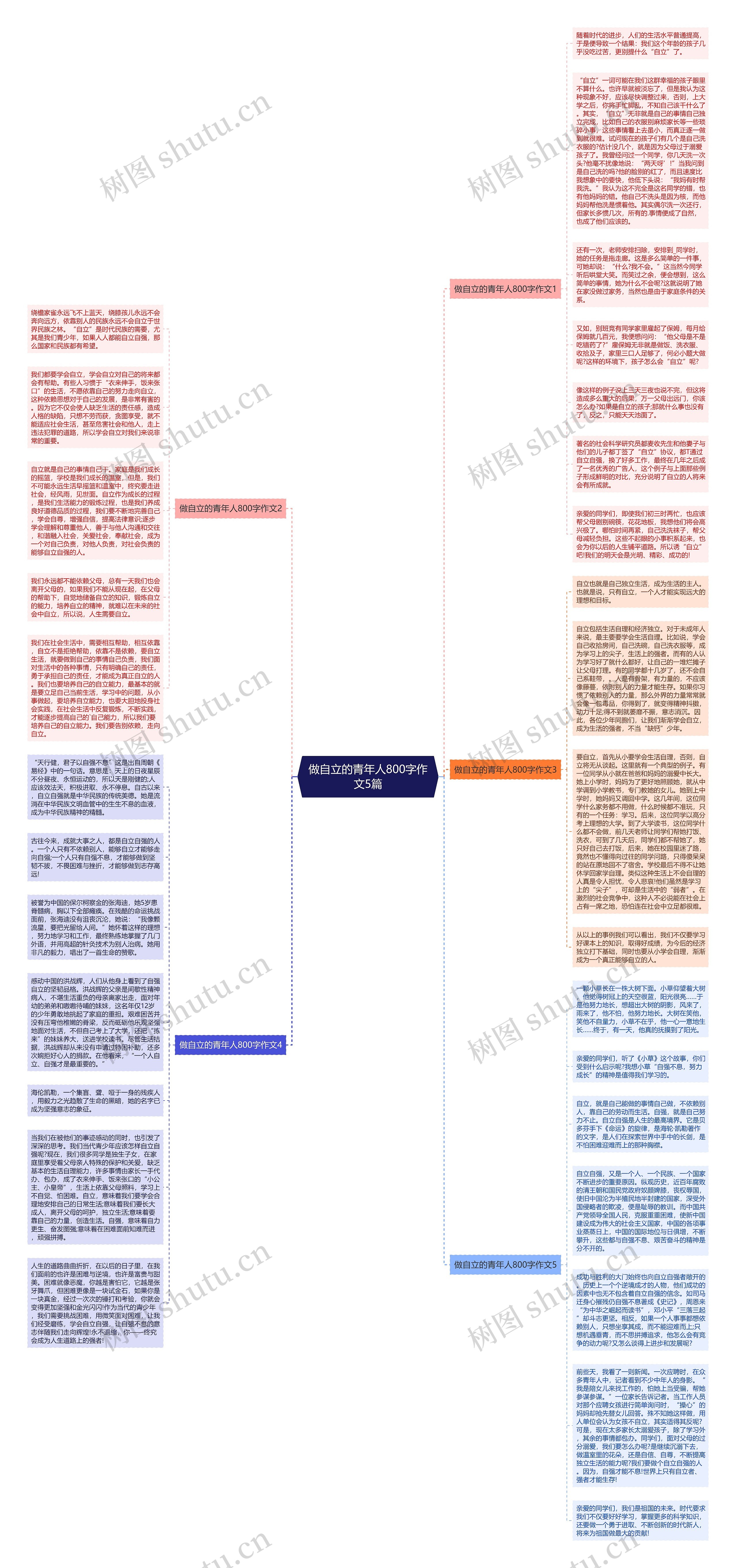 做自立的青年人800字作文5篇思维导图