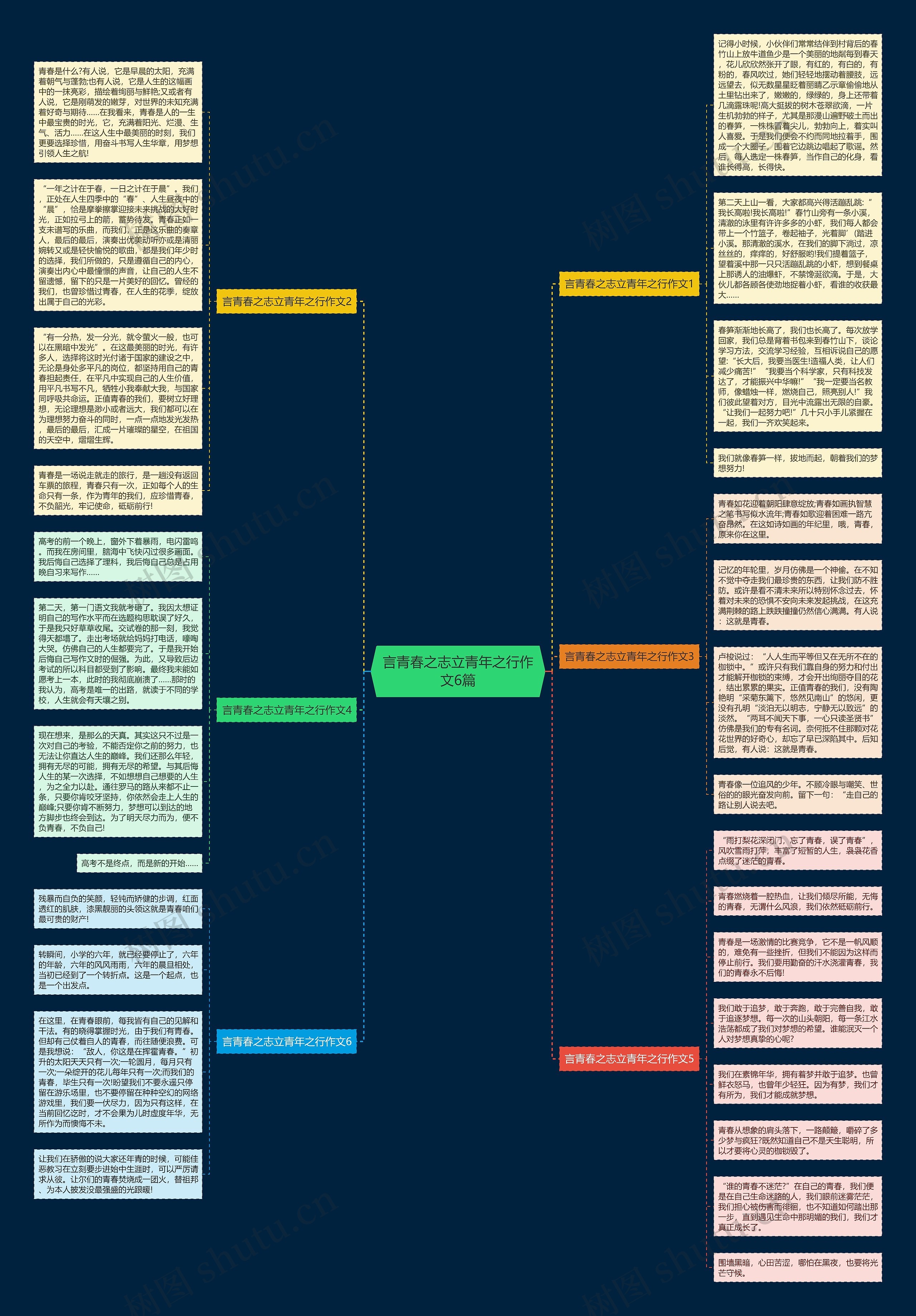 言青春之志立青年之行作文6篇思维导图