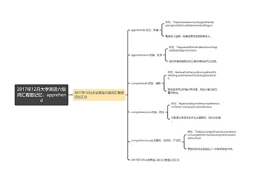 2017年12月大学英语六级词汇看图记忆：apprehend