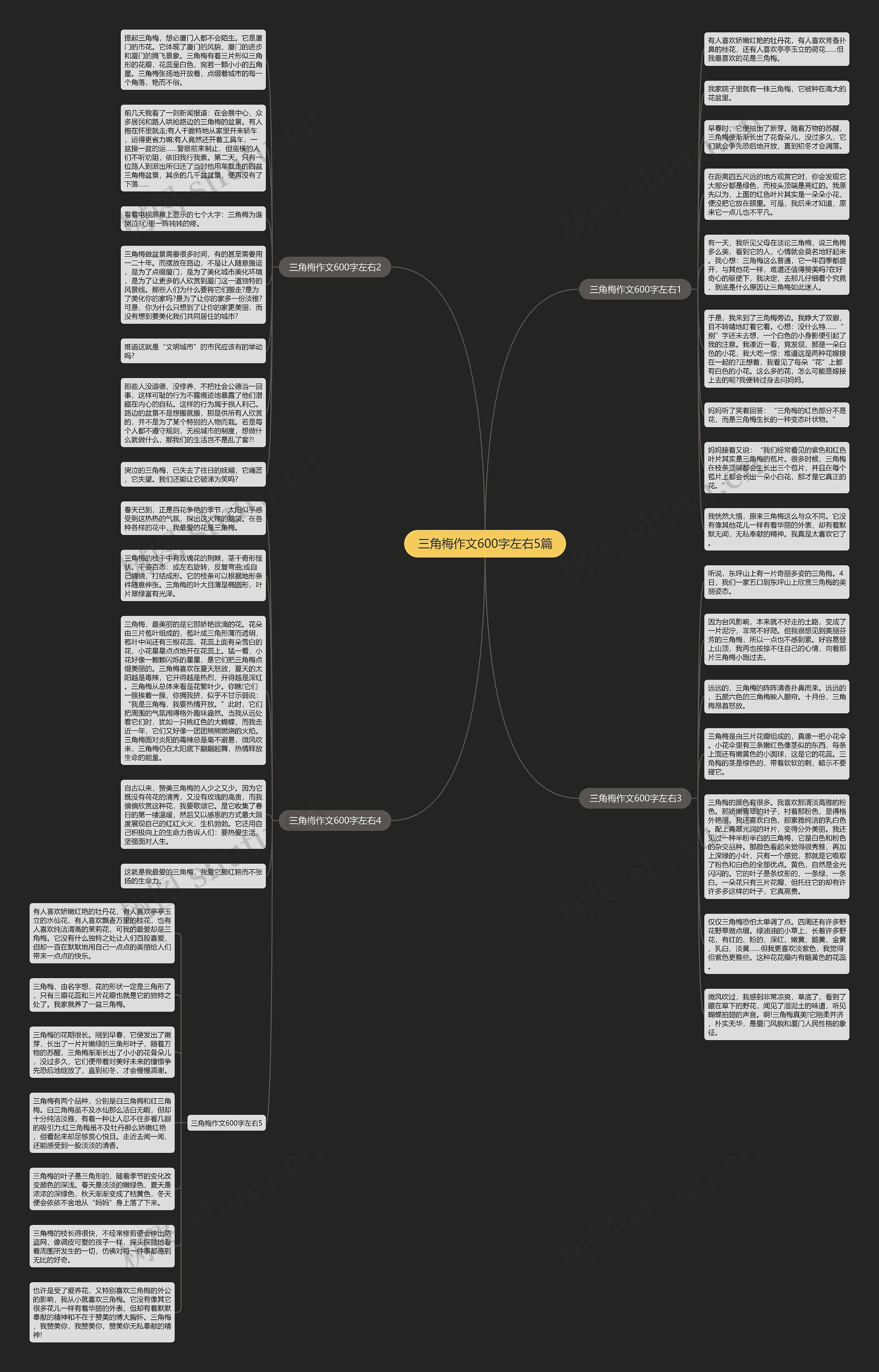 三角梅作文600字左右5篇