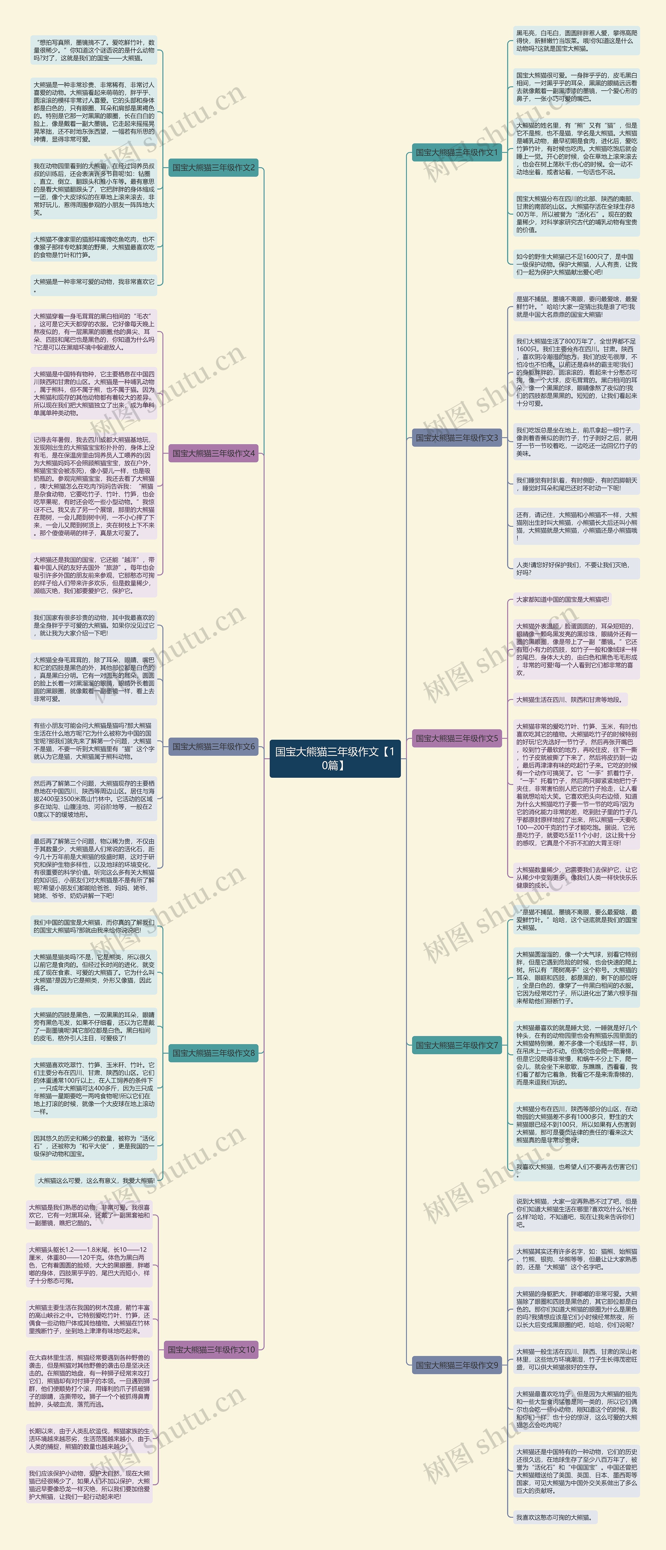 国宝大熊猫三年级作文【10篇】思维导图
