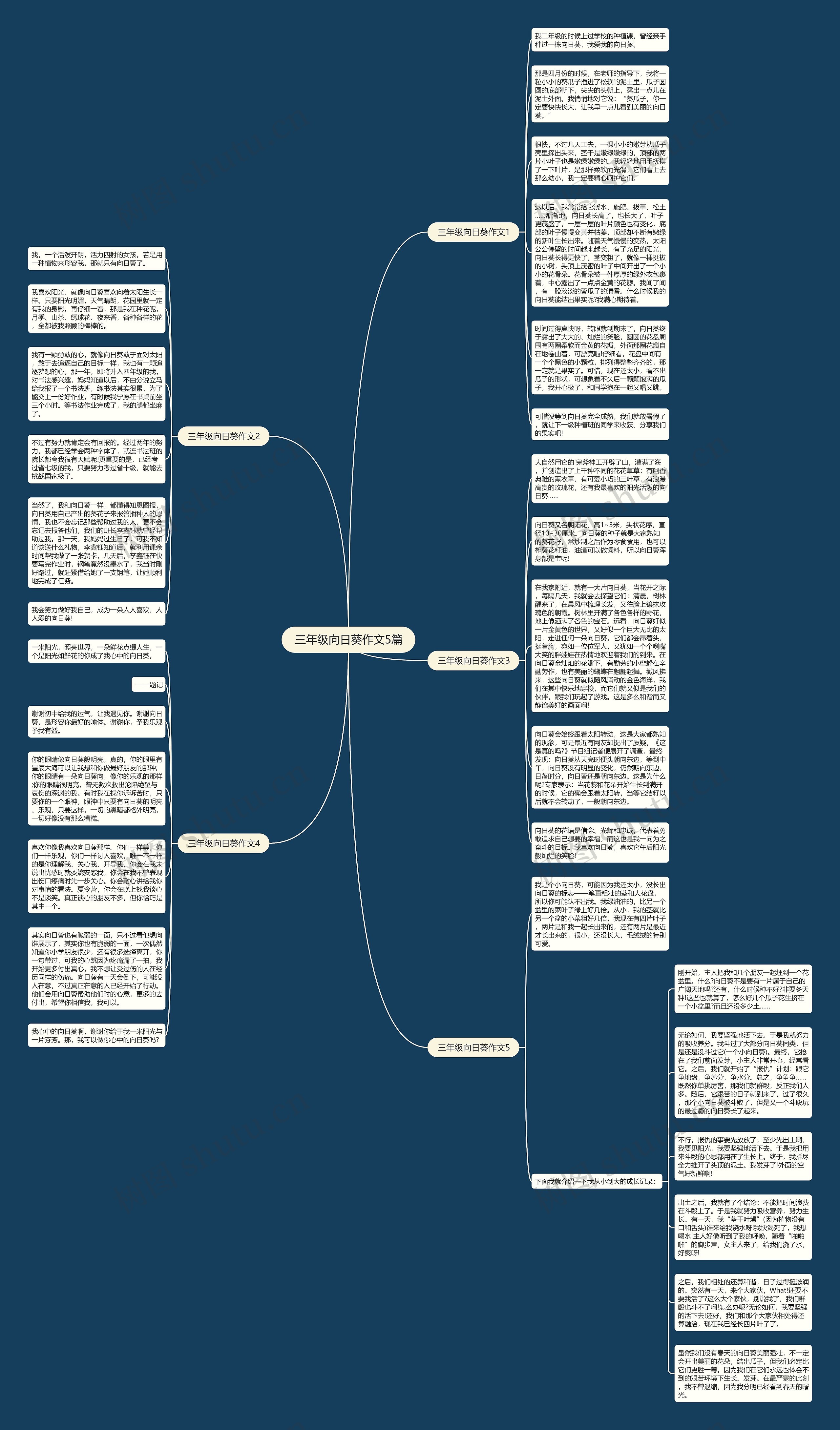 三年级向日葵作文5篇思维导图