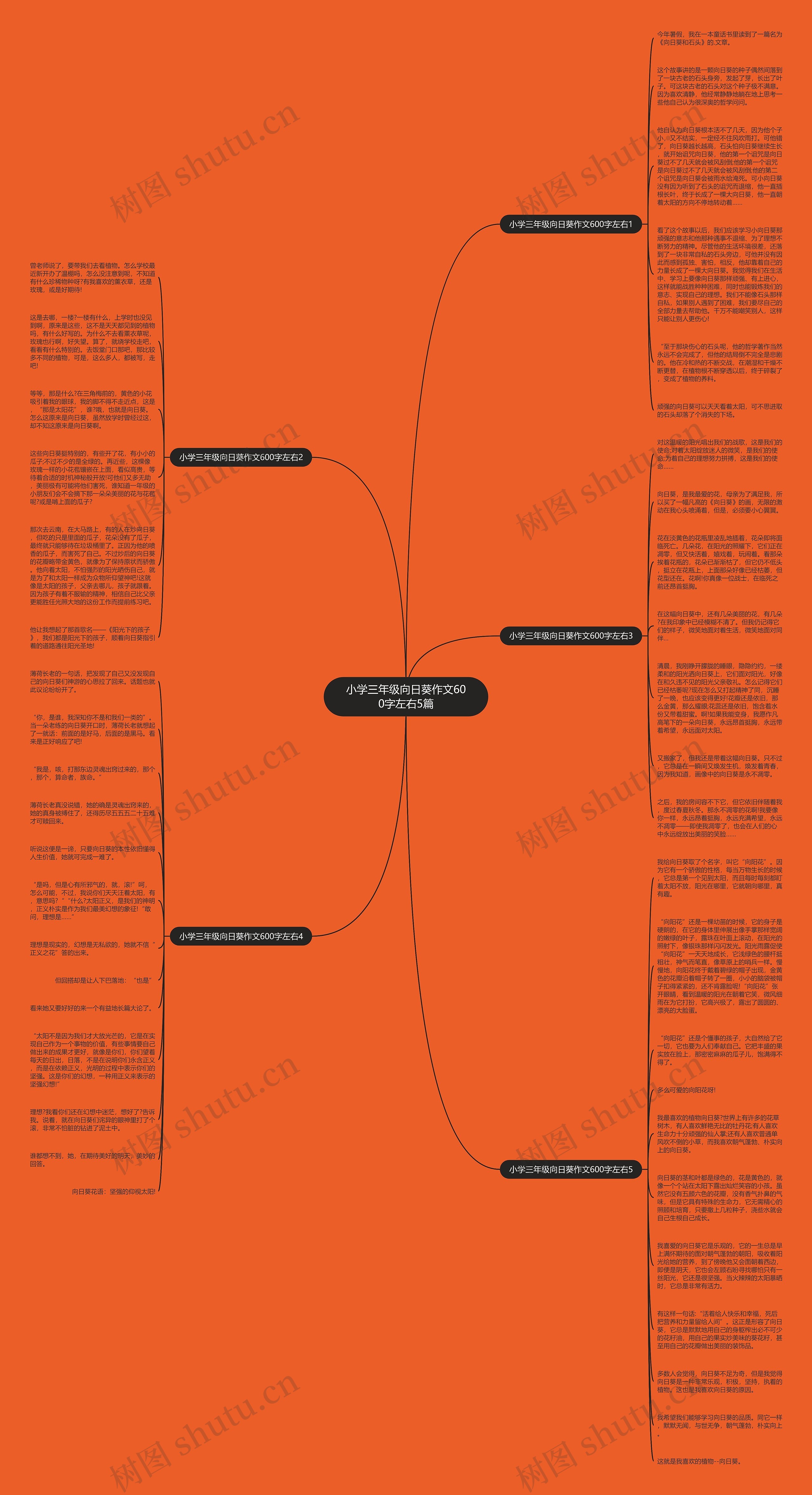 小学三年级向日葵作文600字左右5篇思维导图