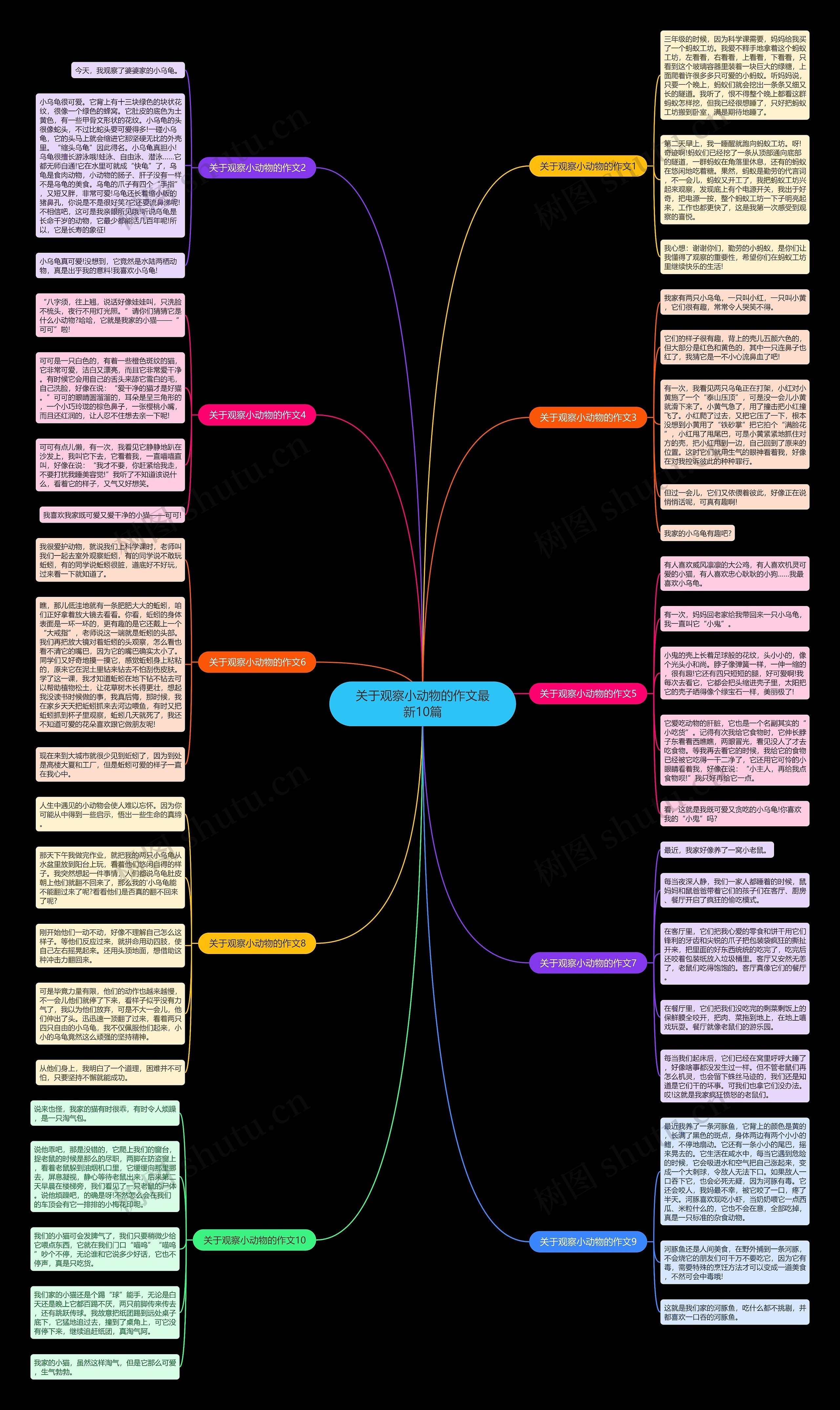 关于观察小动物的作文最新10篇思维导图