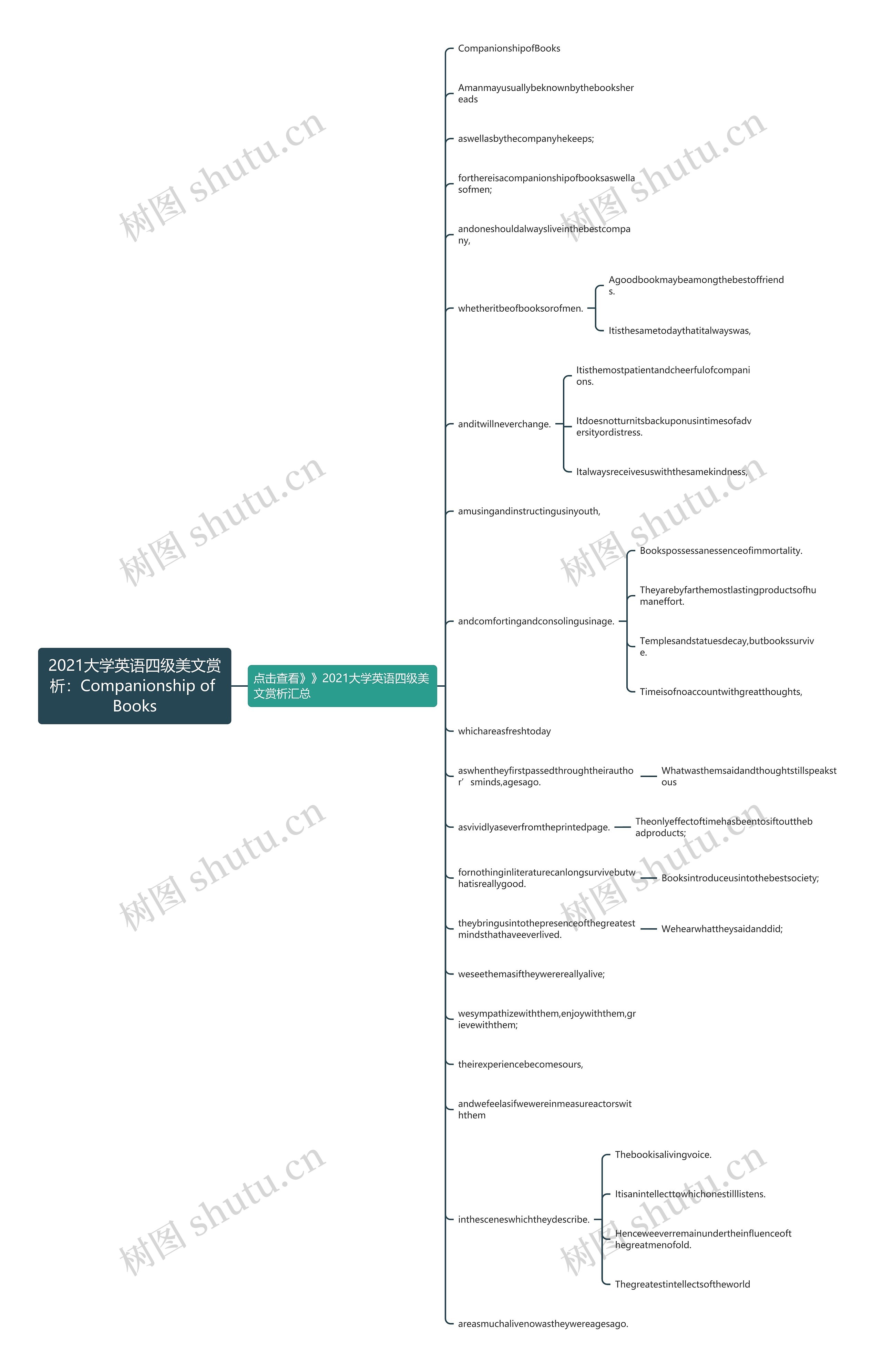 2021大学英语四级美文赏析：Companionship of Books思维导图