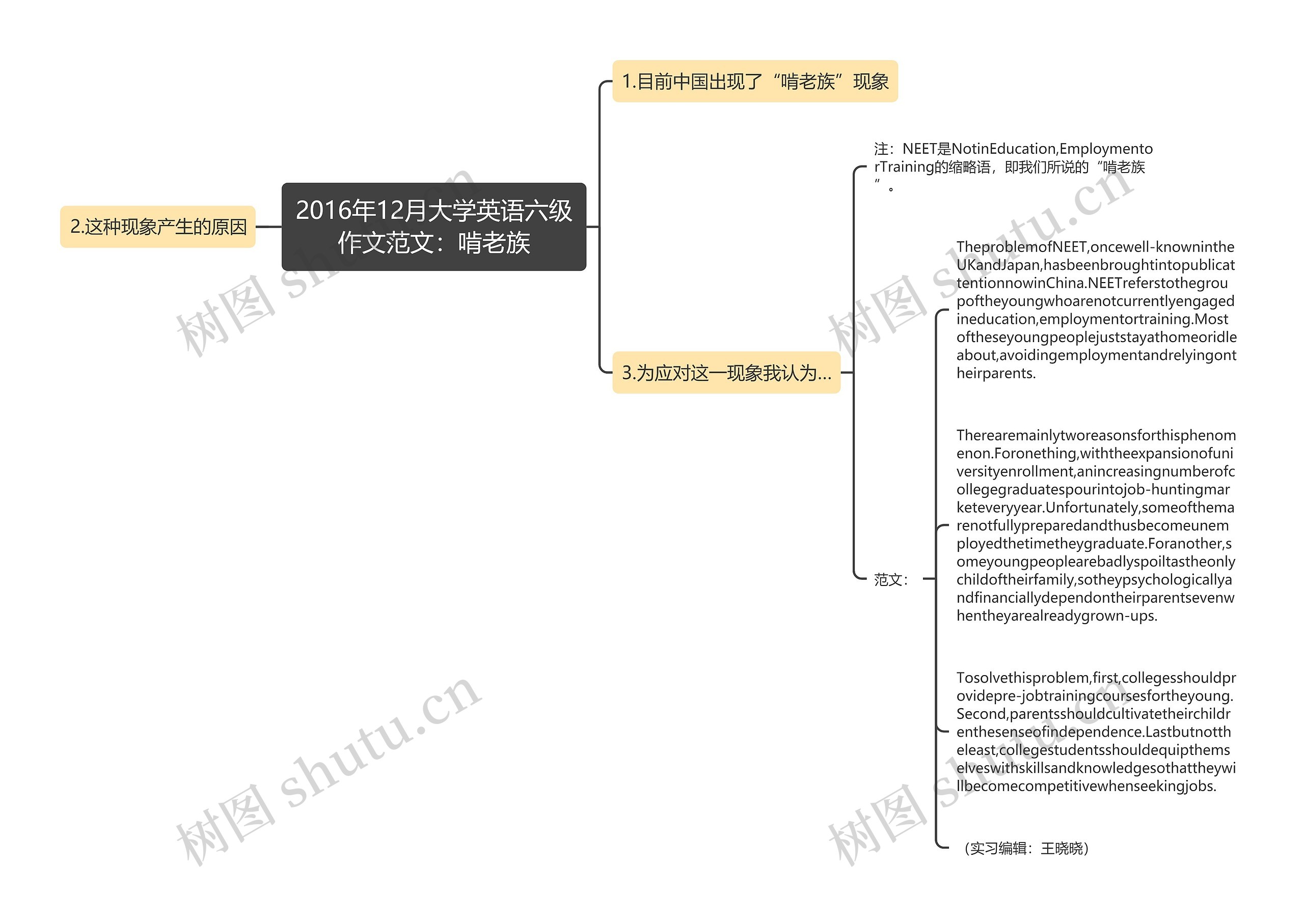2016年12月大学英语六级作文范文：啃老族思维导图