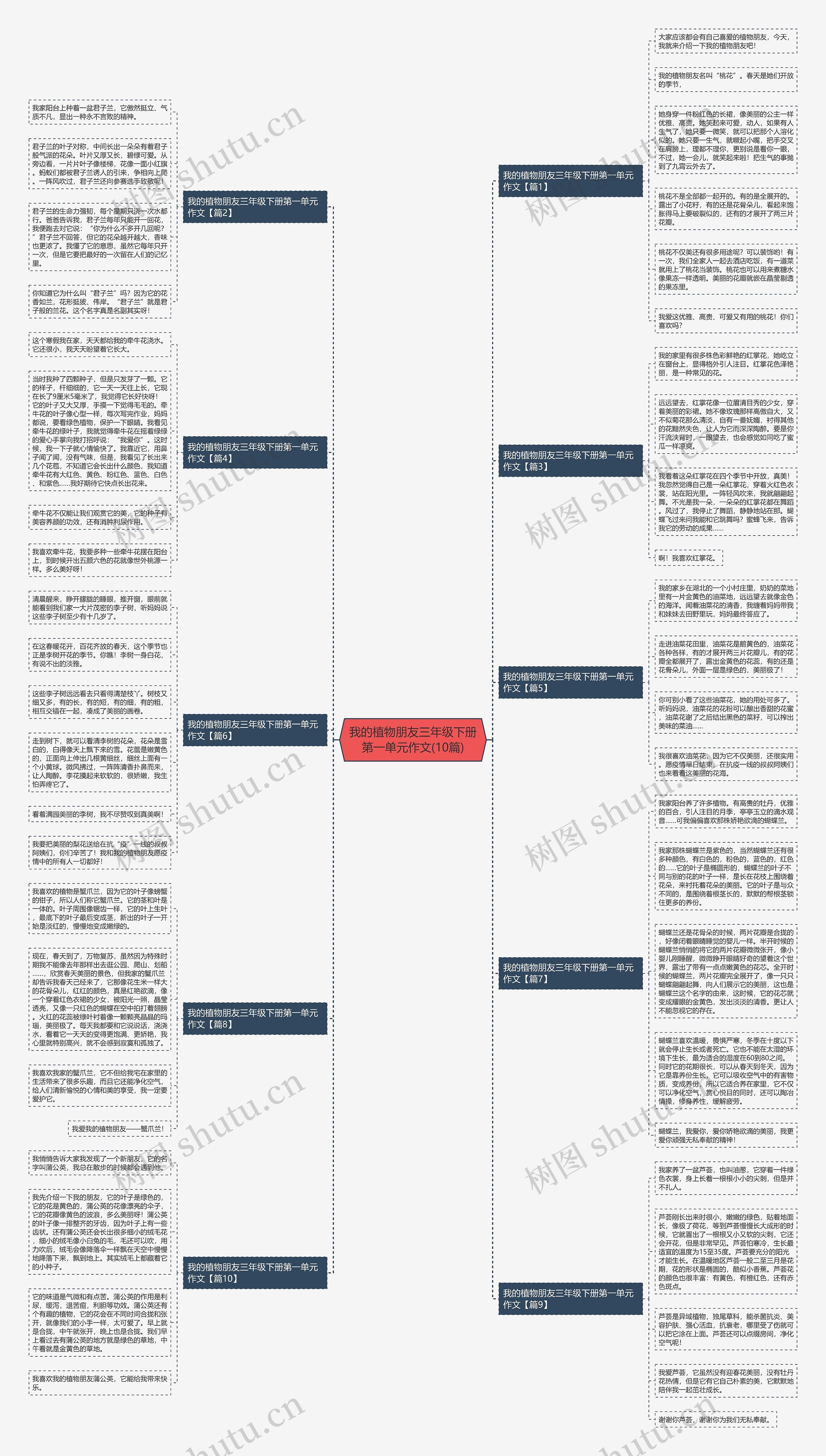 我的植物朋友三年级下册第一单元作文(10篇)思维导图