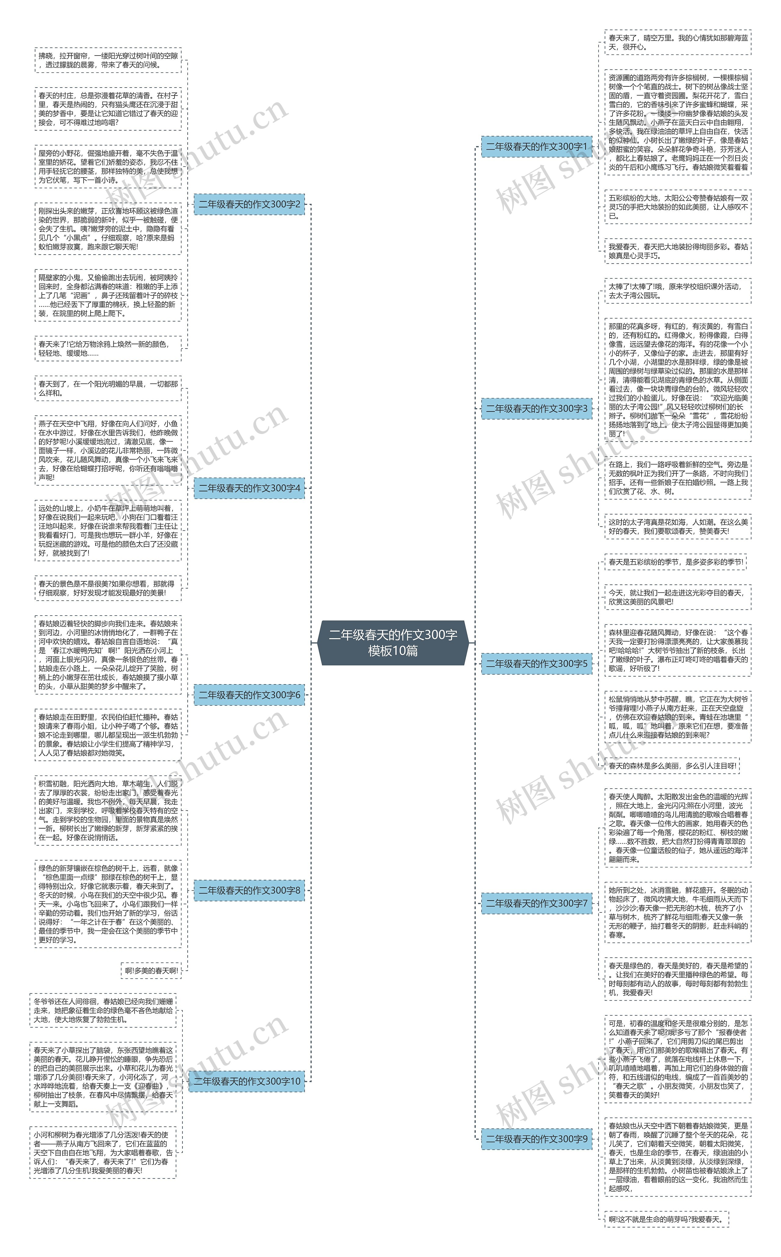 二年级春天的作文300字10篇思维导图