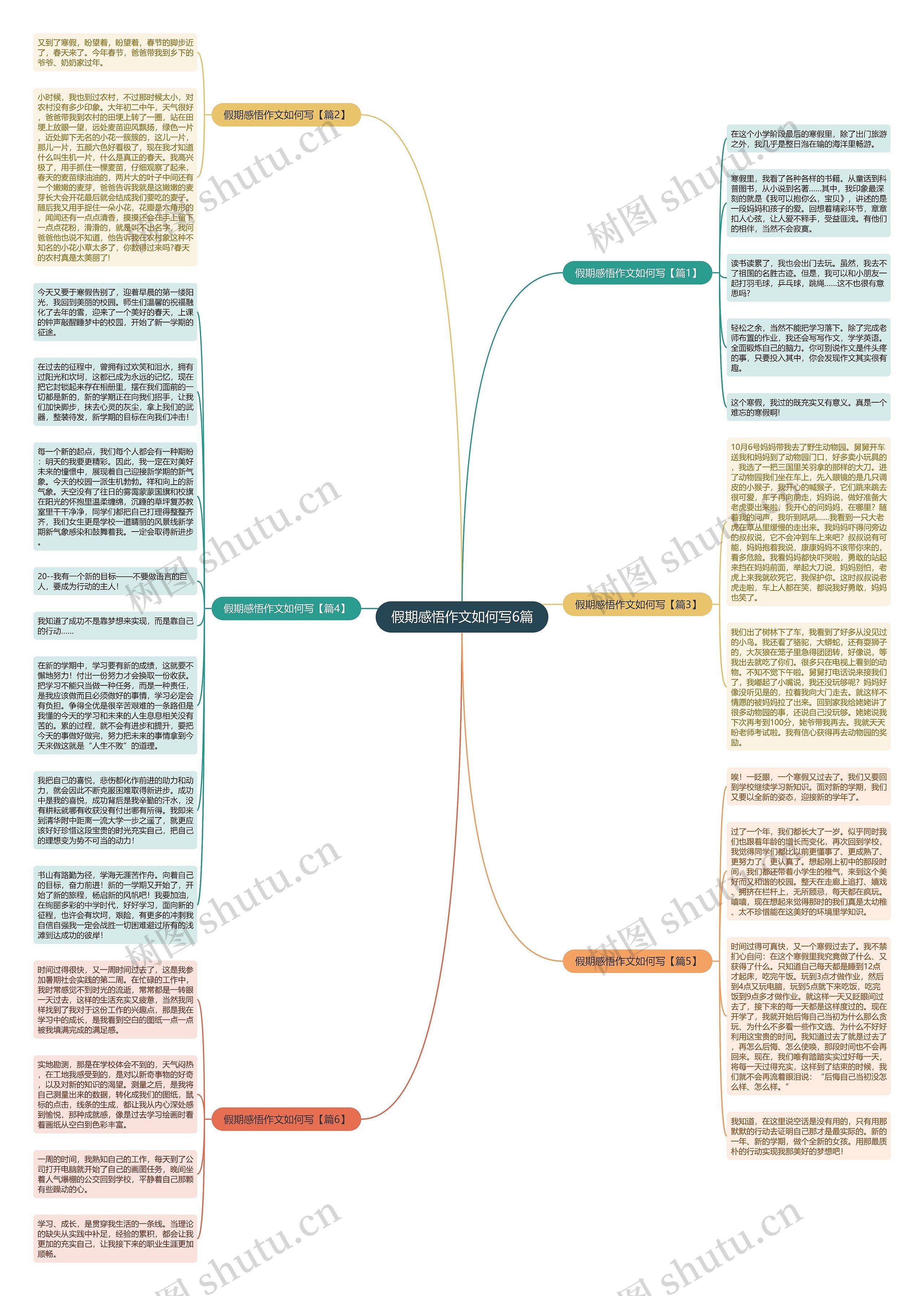 假期感悟作文如何写6篇思维导图