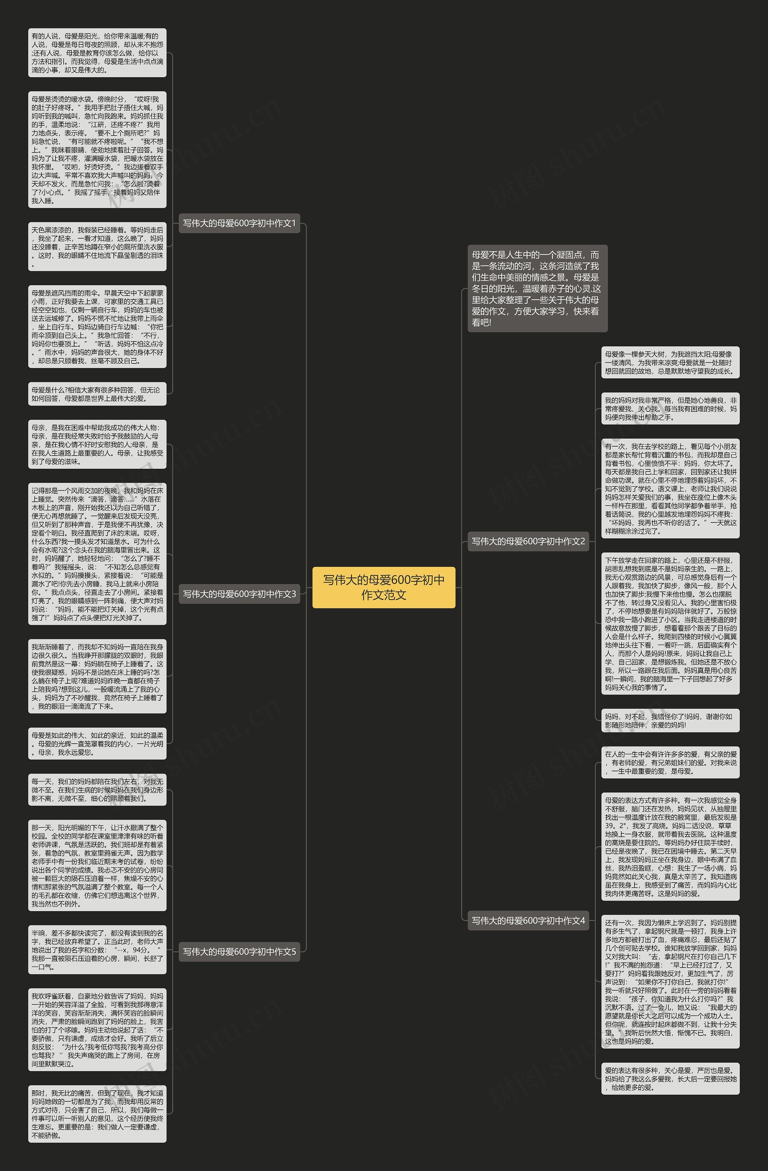 写伟大的母爱600字初中作文范文思维导图