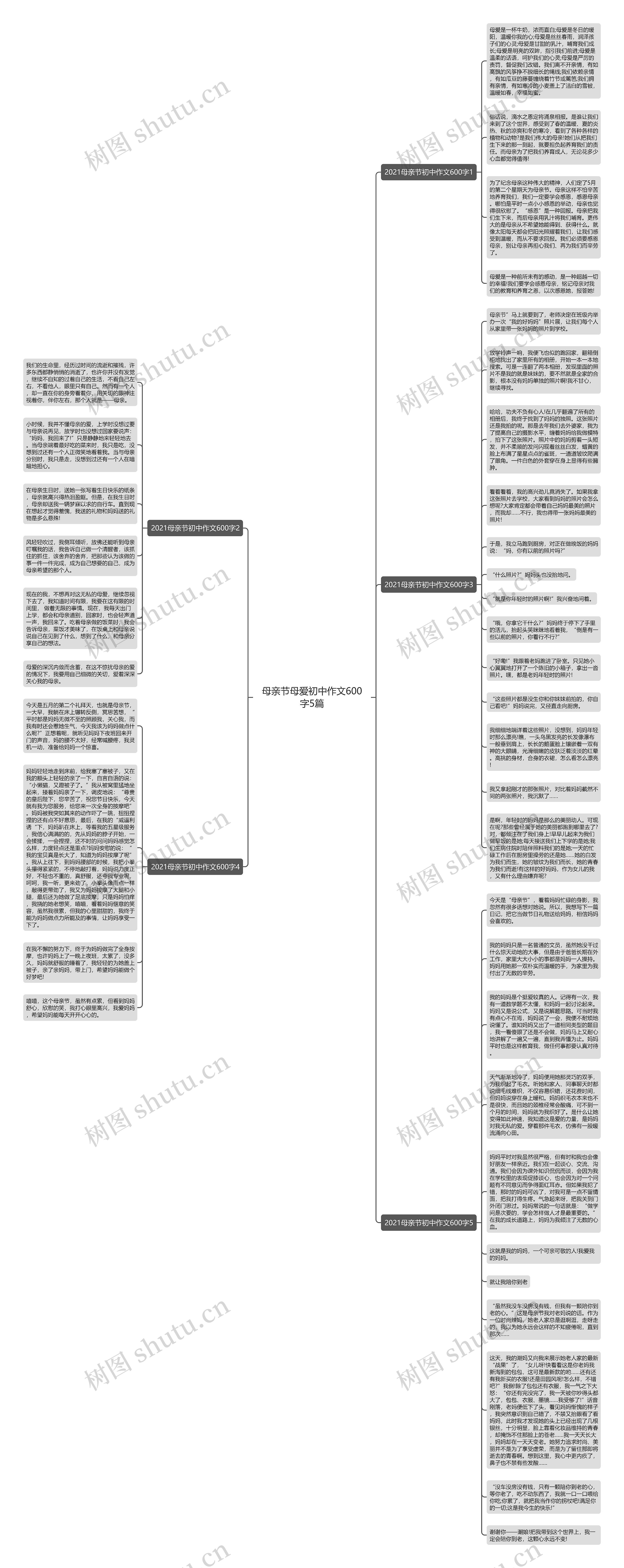 母亲节母爱初中作文600字5篇