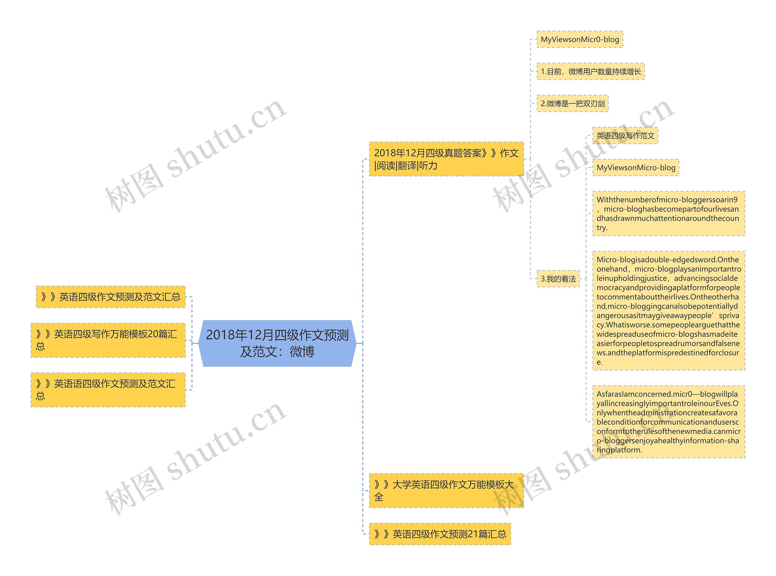 2018年12月四级作文预测及范文：微博思维导图