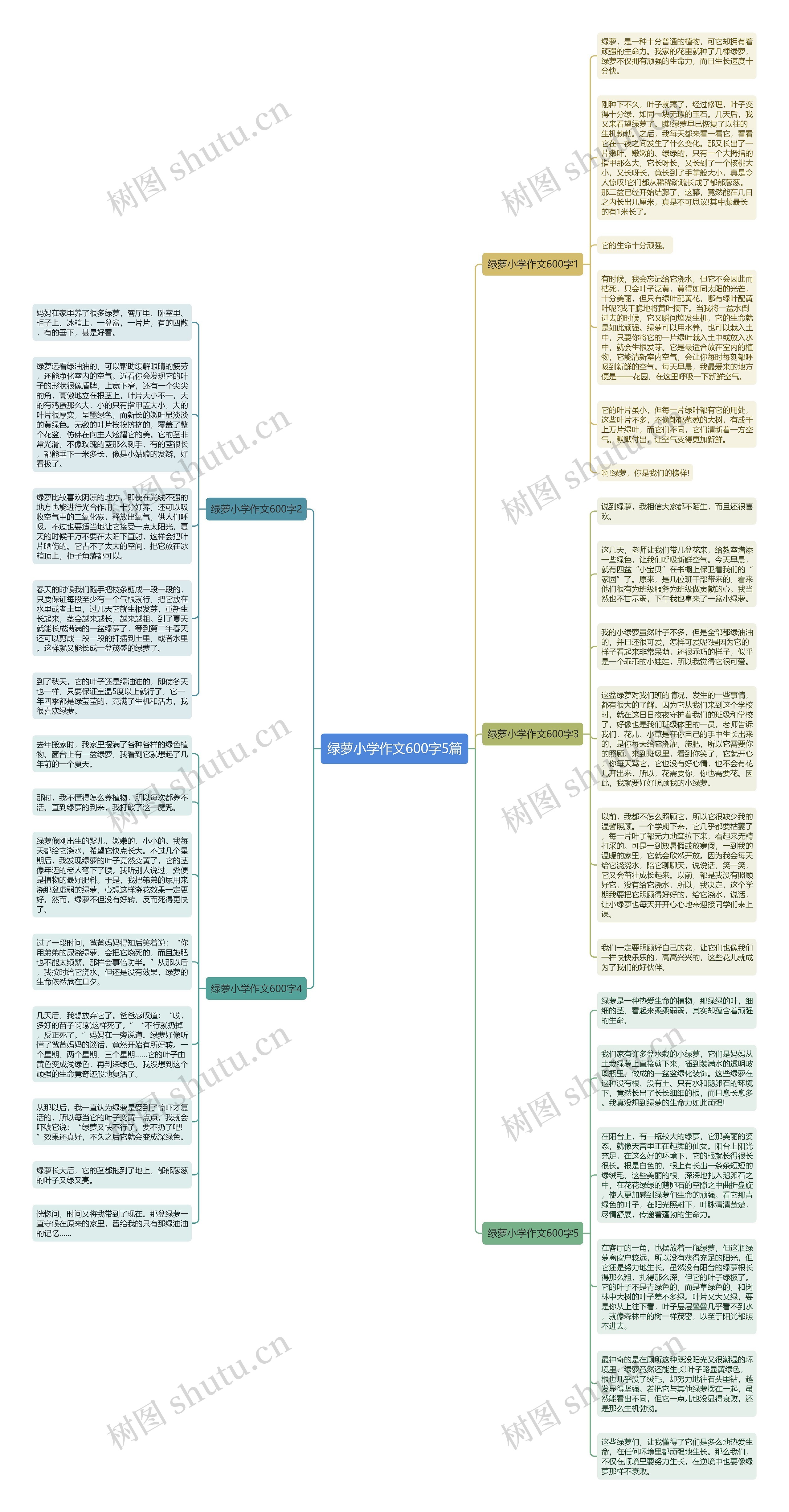 绿萝小学作文600字5篇思维导图
