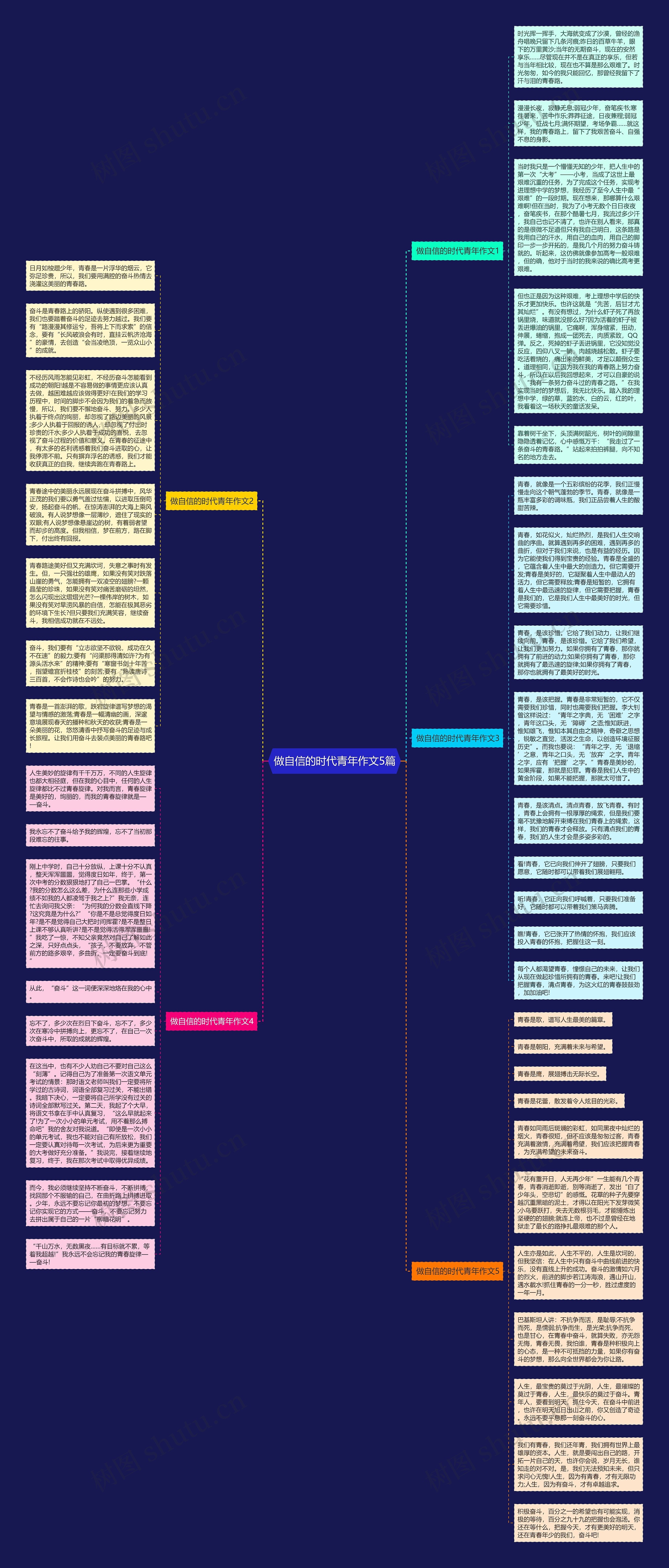 做自信的时代青年作文5篇思维导图